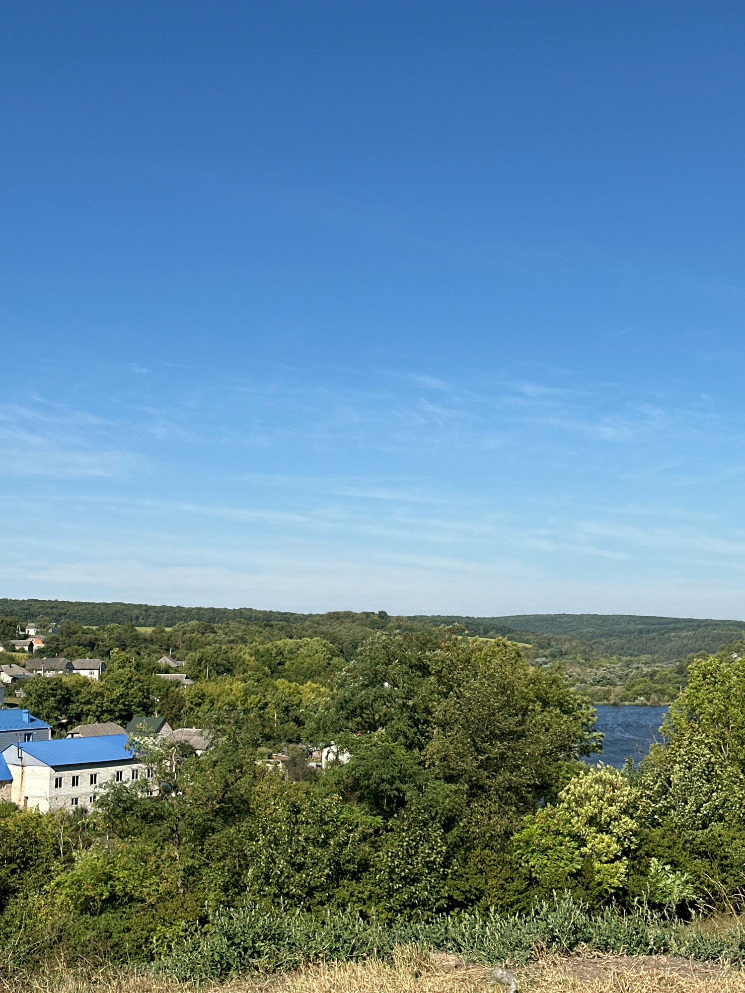 This image depicts a tranquil daytime scene overlooking a village nestled among rolling hills and lush greenery in Makiv, Ukraine. The foreground is dominated by dry, tall grass and some low-lying shrubs. Further back, a cluster of houses with grey and blue roofs are visible, partially obscured by dense trees. A prominent building with a bright blue metal roof stands out amongst the others. Beyond the village, a vast expanse of green forest stretches across the landscape, with a dark blue body of water, likely a river or lake, visible in the mid-ground. The sky above is a clear, vibrant blue with thin, wispy white clouds. The overall impression is one of a peaceful rural settlement bathed in natural light.