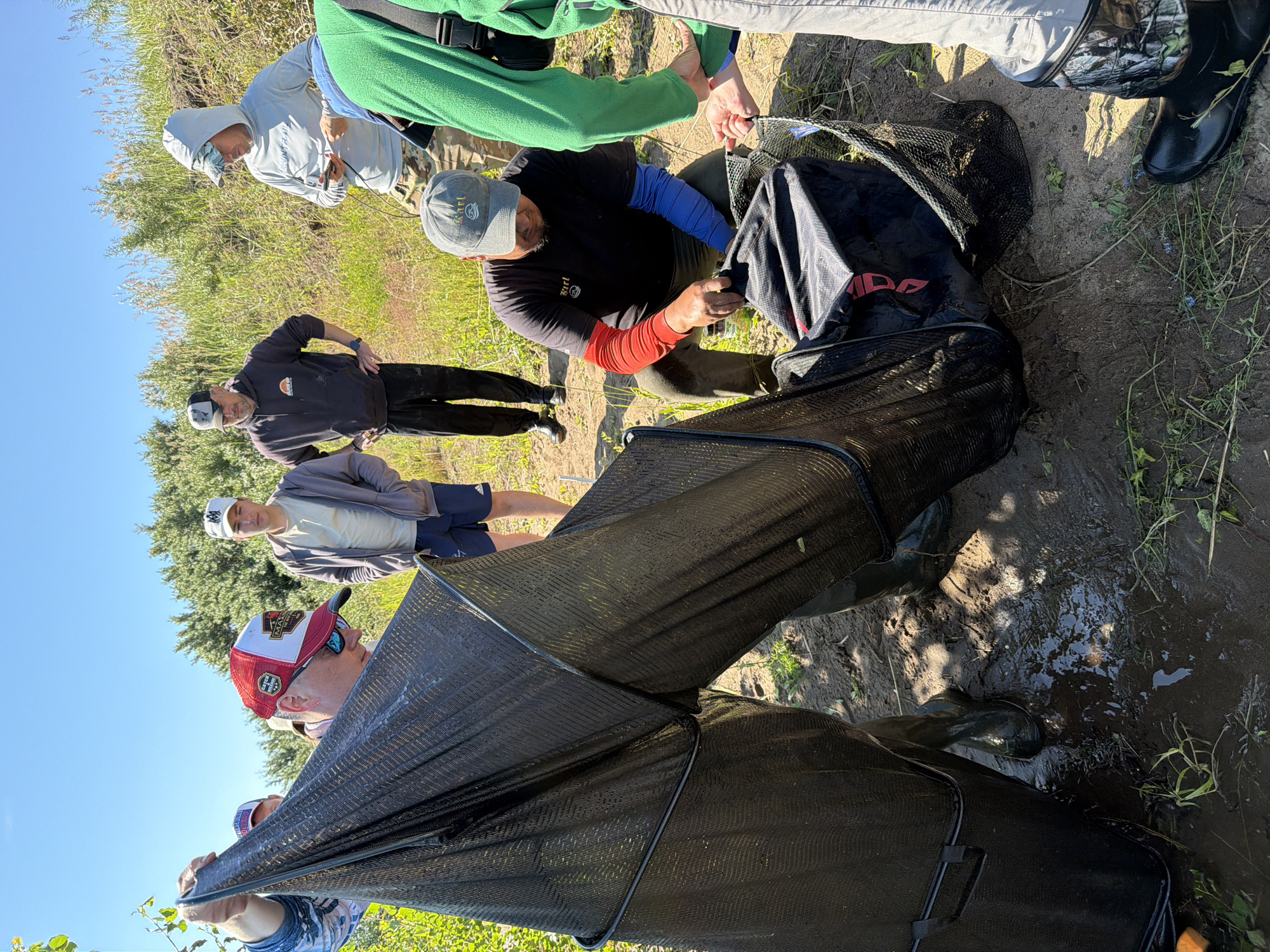 In Tarasovo, Russia, on a sunny day, a group of individuals are engaged in an outdoor activity near a body of water. The foreground is dominated by two large, black mesh nets, one of which is being held open by two men. The man on the left is wearing a red and white baseball cap and sunglasses, while the man on the right, wearing a grey baseball cap and a black t-shirt with red and blue sleeves, is reaching into a smaller black bag that appears to be within one of the nets. Several other individuals are visible in the background, observing the activity. One man in a grey hoodie stands with his hands in his pockets, and another in a light blue hooded sweatshirt is looking at his phone. The environment consists of muddy ground, with some sparse vegetation and trees in the background, under a clear blue sky.