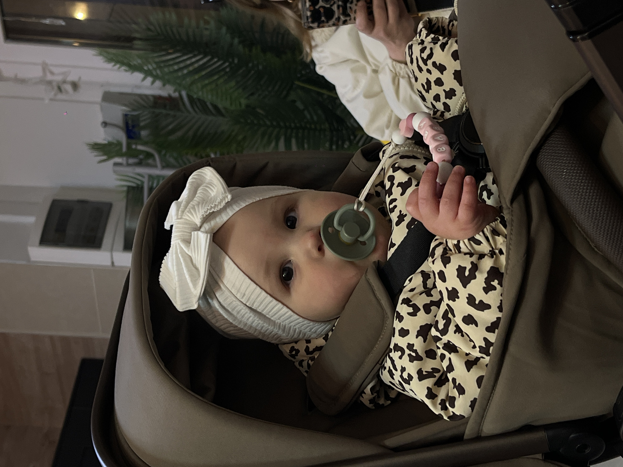 The image presents a close-up of an infant resting in a dark olive-green stroller or car seat, situated indoors in what appears to be a public establishment in Novopokrovskaya, Russia. The baby has light skin and dark eyes, looking directly at the camera with a neutral, slightly curious expression.
The infant is dressed in a cream and brown leopard print outfit and wears a cream-colored, ribbed headwrap with a decorative bow on top. A green pacifier is in the baby's mouth, connected to a pink and white pacifier clip featuring indistinct letter beads.
In the upper background, the hands of an adult are visible, holding a smartphone that also sports a leopard print case, coordinating with the baby's attire. The adult is wearing a white long-sleeved top.
The background elements are softly blurred, revealing an artificial green palm-like plant, light-colored walls or panels, and reflections from indoor lighting. These details suggest a setting such as a cafe, restaurant, or shopping area. The indoor lighting makes the specific time of day and outdoor weather undeterminable. No clearly legible text is visible in the scene other than the indistinguishable letter beads on the pacifier clip. The overall impression is a peaceful moment with the infant.
