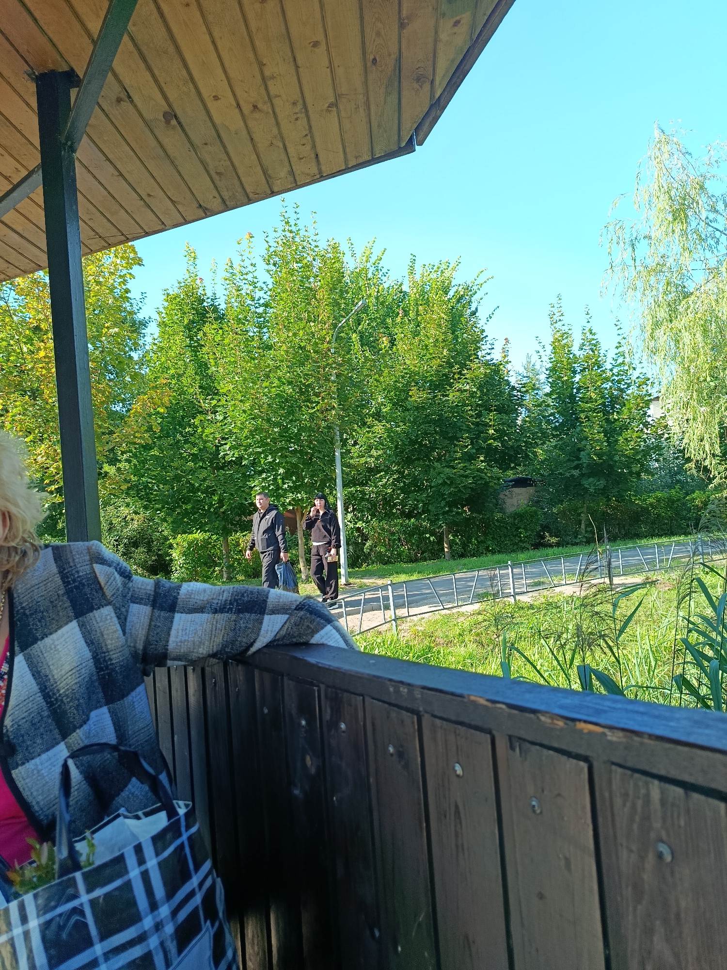 The image shows a view from under a wooden gazebo with a dark brown wooden railing in the foreground. Two individuals are walking on a path behind the gazebo. The path is bordered by a metal fence on one side and lush green vegetation, including tall reeds, on the other. Beyond the path and fence, there are numerous trees with green foliage, indicating a park or natural area. The sky is clear and blue. A person wearing a plaid jacket is seated in the foreground, with a plaid shopping bag on their lap. The overall scene suggests an outdoor recreational area. The location is identified as Veriya, Russia.