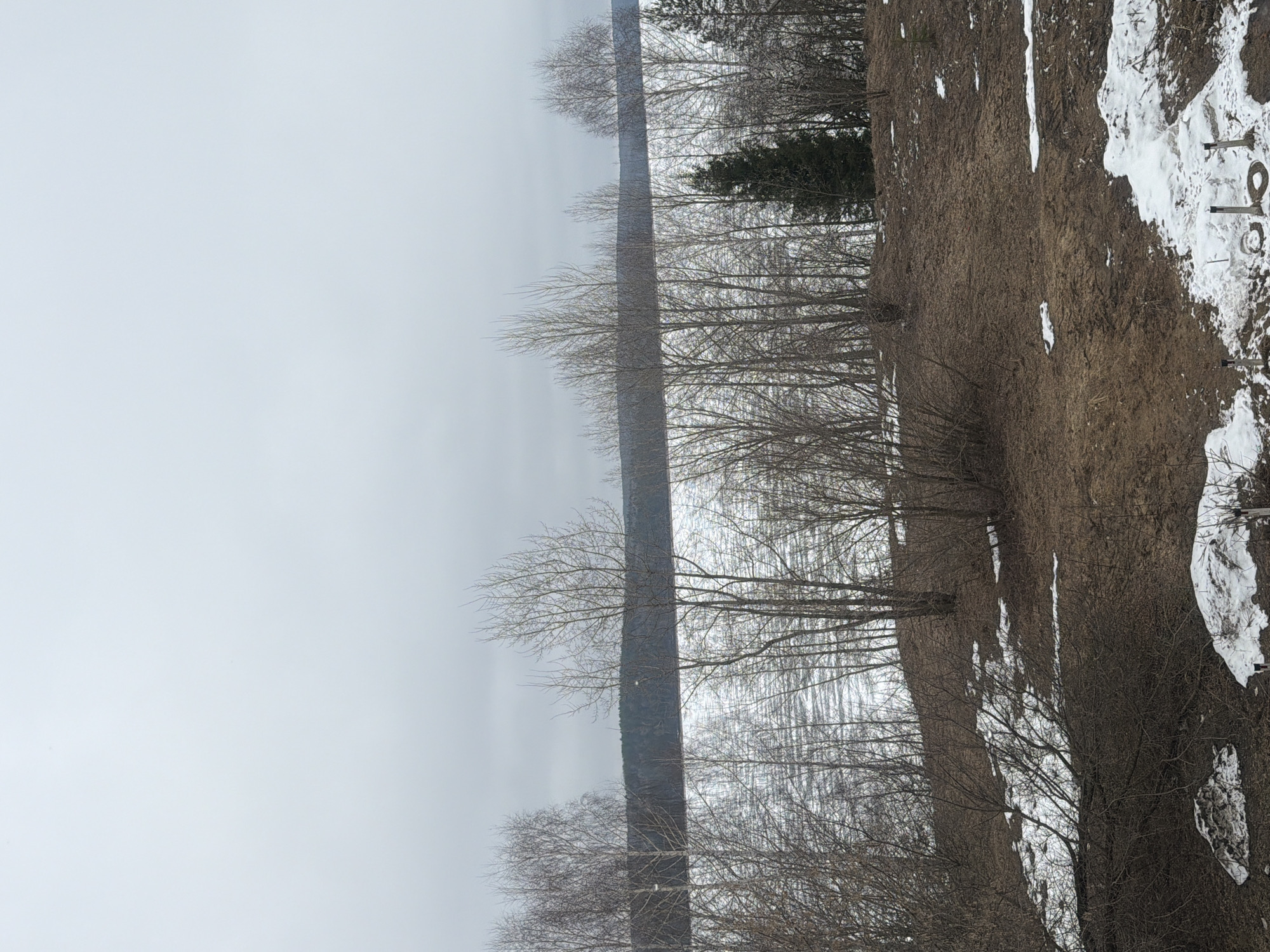 The image shows a landscape in Chaikovsky, Russia during late winter or early spring. The sky is overcast, creating a flat, gray light. In the foreground is a brown, muddy field with patches of melting snow. Bare trees line the edge of the field, their branches silhouetted against a gray body of water that appears to be a lake or river. The scene evokes a sense of quiet desolation typical of the transitional period between winter and spring. The numbers “19” can be seen on the snowy patch on the right of the image.