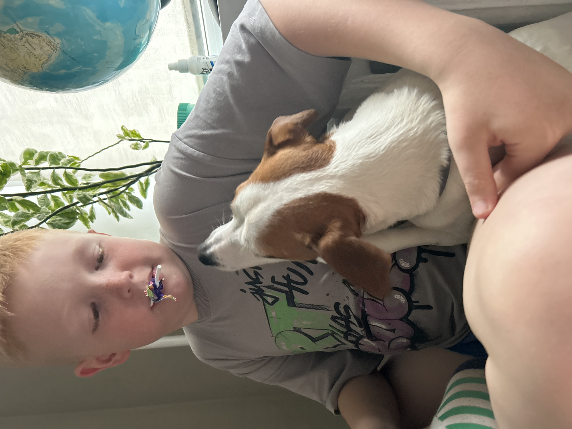 A young, light-skinned, blond-haired boy is holding a small, brown and white dog. He is wearing a gray shirt with a colorful graphic design. In his mouth is a lollipop. A plant and globe are visible behind the boy, suggesting the scene may be indoors, in Russia. The location is likely Chaikovsky, Russia.