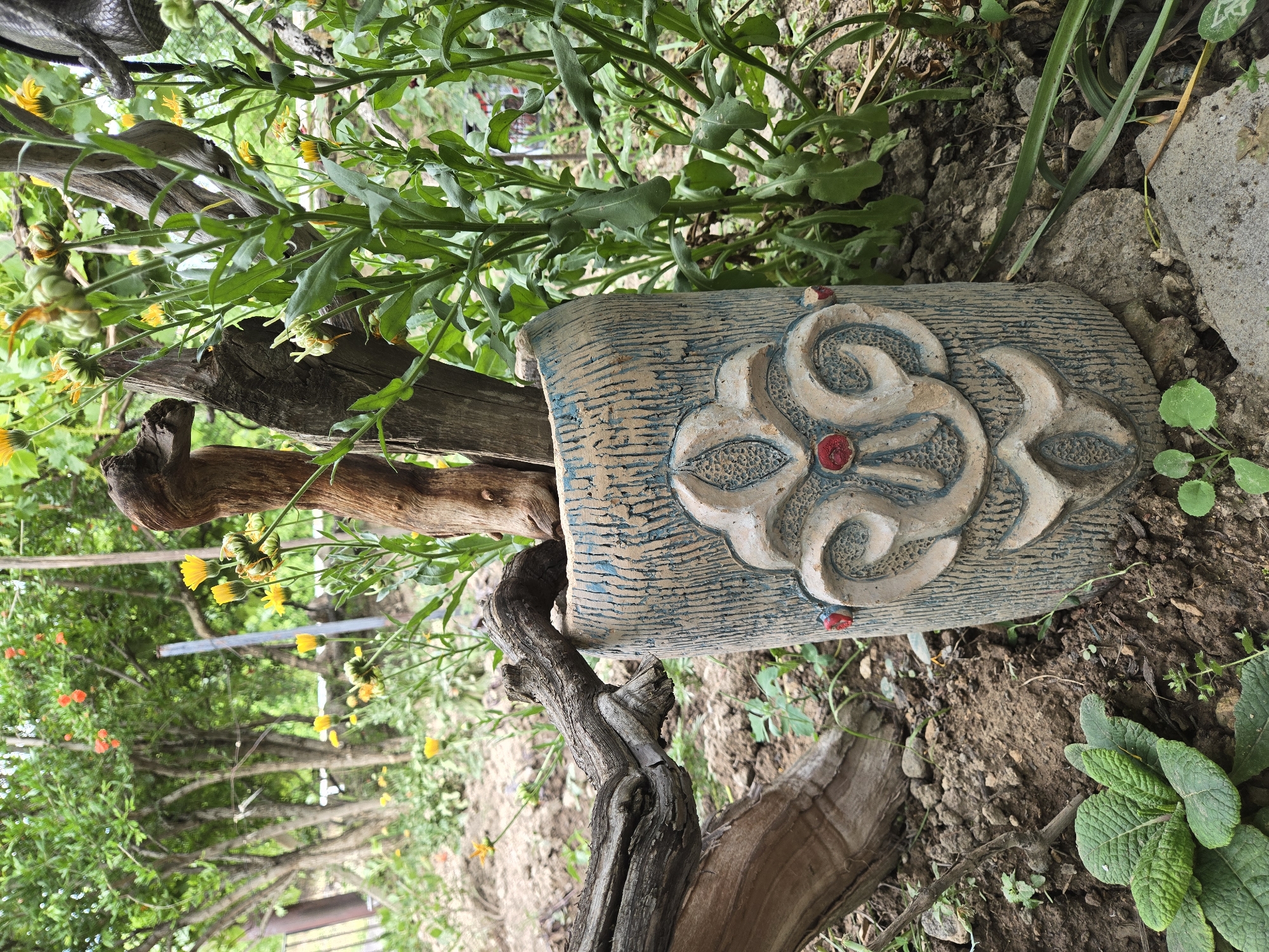 The image is an outdoor close-up of a decorative ceramic pot nestled amongst foliage and gnarled branches. The pot is light blue with a textured, wood-like pattern and features a raised, cream-colored floral design with a red center. Small red dots are also visible on the edges of the pot.
The pot appears to be part of a garden or natural setting. Green leaves and stems surround the object, with some small yellow flowers in the background. A prominent, twisted piece of weathered wood extends from the left side of the frame, partially obscuring the pot and adding to the rustic aesthetic. In the background, more trees and foliage can be seen, suggesting a lush, green environment. The lighting suggests it is daytime, possibly overcast or shaded, as there are no harsh shadows. The overall impression is one of a garden accent piece integrated into a natural, somewhat wild, landscape. No people or text are visible in the image.