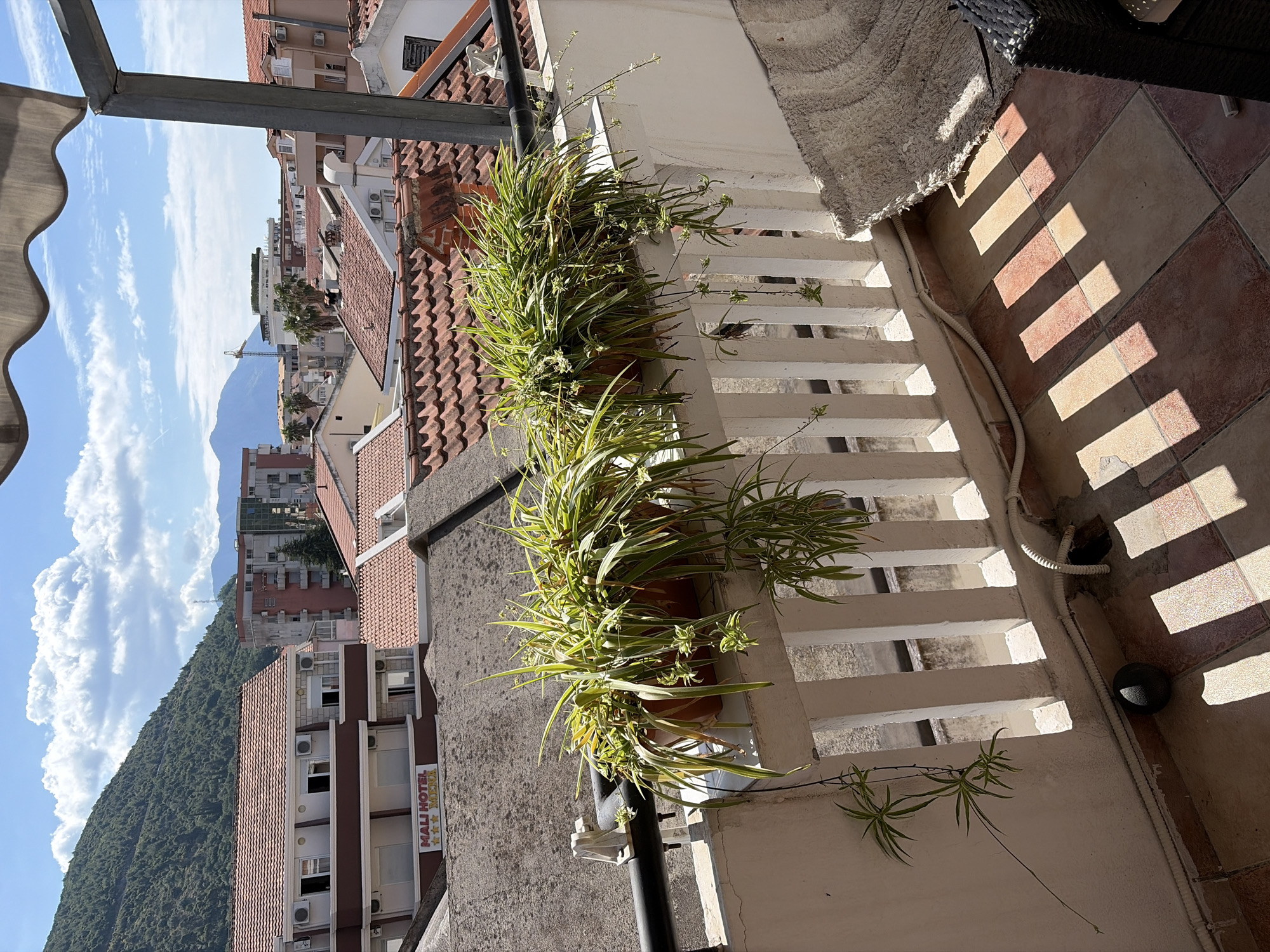 The image presents a bright, sunlit view from a balcony or terrace, overlooking a townscape backed by mountains under a clear sky. In the foreground, numerous potted spider plants (Chlorophytum comosum) with green and variegated leaves, small white flowers, and long plantlets, are arranged along a white painted railing. The balcony floor consists of brown and beige checkered tiles, where sharp, rectangular shadows are cast by the railing, indicating strong overhead sunlight. A light-colored textured mat and a portion of a dark wicker outdoor furniture piece are visible on the right. A white electrical conduit runs along the base of the balcony wall.
Beyond the balcony, the town is densely packed with buildings, predominantly featuring reddish-brown tiled roofs and light-colored facades. Many buildings show visible air conditioning units. Further in the distance, a tall construction crane can be seen, along with some palm trees interspersed among the structures. The background is dominated by a vast, forested mountain range under a brilliant blue sky adorned with scattered white cumulus clouds. On one of the visible buildings, a sign reads "MALI HOTEL *** MOEVA," indicating a hotel.
The scene depicts a peaceful, typical Mediterranean urban landscape on a clear, sunny day, consistent with the location context of Budva, Montenegro. No people are visible, and there is no specific activity taking place beyond the ambient environment.