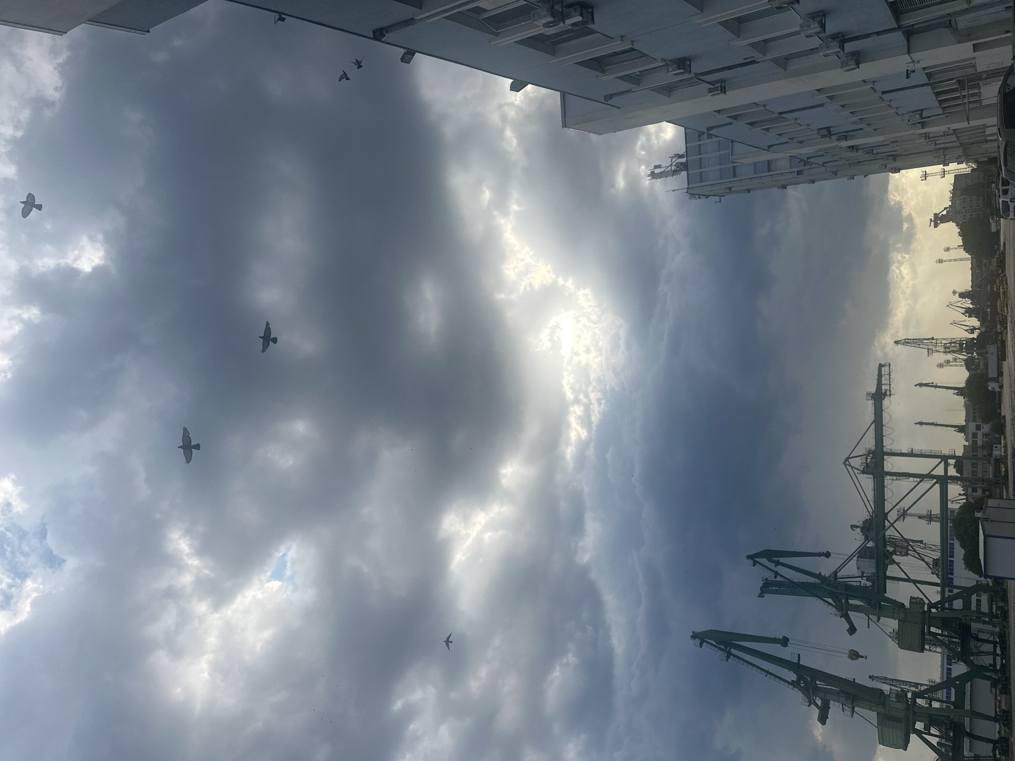 The image depicts a view of a port area under a dramatic, cloudy sky. Several large green cranes dominate the left side of the frame, indicating industrial activity. In the background, more cranes and industrial structures are visible, along with a light blue and white building on the right side of the image. Numerous birds are scattered across the sky, some in flight and others appearing to be in formation. The lighting suggests it might be overcast or late in the day, with some breaks in the clouds allowing sunlight to filter through. The scene is devoid of people, with no direct human interaction or activity captured. The environment appears to be an active port or industrial zone.