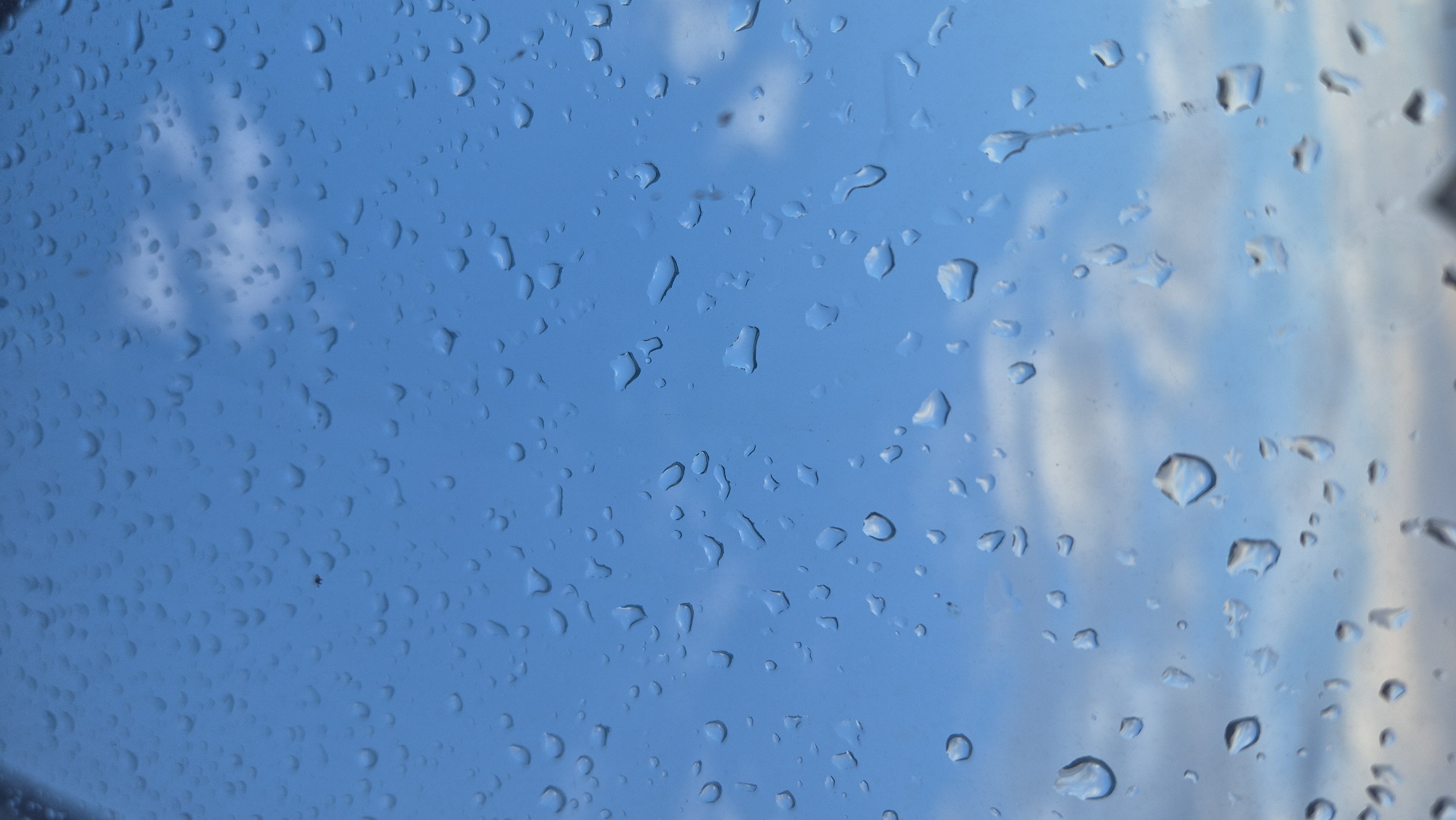A close-up, vertical shot shows raindrops on a windowpane against a bright blue sky with scattered white clouds. The drops vary in size and shape, some appearing spherical, others elongated or irregular. A very small, dark insect is visible in the upper left quadrant of the image, resting on the glass. The background sky is clear and luminous, with some clouds appearing as soft, diffused masses. The lower portion of the image shows a dark, blurry silhouette of what appears to be rooftops, suggesting the window overlooks an urban or semi-urban environment. This scene is consistent with a view from a window in the city of Pomryaskino, Russia, during or after rainfall.