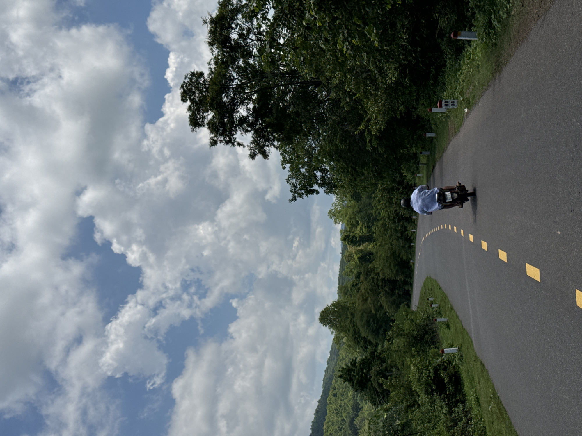In Ham Thuan Bac, Vietnam, a person rides a motorcycle on a winding asphalt road lined with yellow dashed markings. The road curves to the left, surrounded by lush green vegetation and trees. Tall trees with dense foliage dominate the right side of the scene, with a mountainous, tree-covered landscape in the background. The sky above is a vibrant blue, dotted with large, puffy white clouds. Red and white marker posts are visible along the side of the road. The rider, wearing a light blue shirt and a dark helmet, is positioned in the center of the frame, moving away from the viewer.