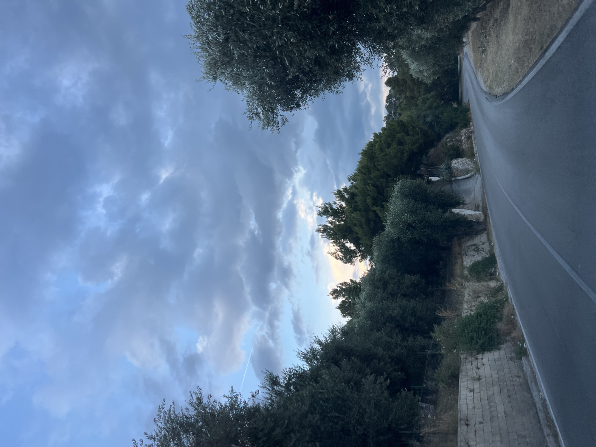 This is a vertical, eye-level, medium shot of a road winding through a tree-lined landscape in Mattinata, Italy. The sky is filled with a dramatic arrangement of dark, cloudy formations interspersed with patches of light blue sky. A faint white contrail is visible in the upper left quadrant of the image. The road, paved and gray, curves to the right and recedes into the distance. On the left side of the road, a retaining wall constructed of stacked stone blocks runs along the lower edge of the frame, supporting a vegetated embankment covered in various plants and trees. A cluster of olive trees with dense foliage lines the right side of the road. The overall mood of the image is serene, with the natural landscape dominating the scene. There are no people or animals visible in the photograph.
