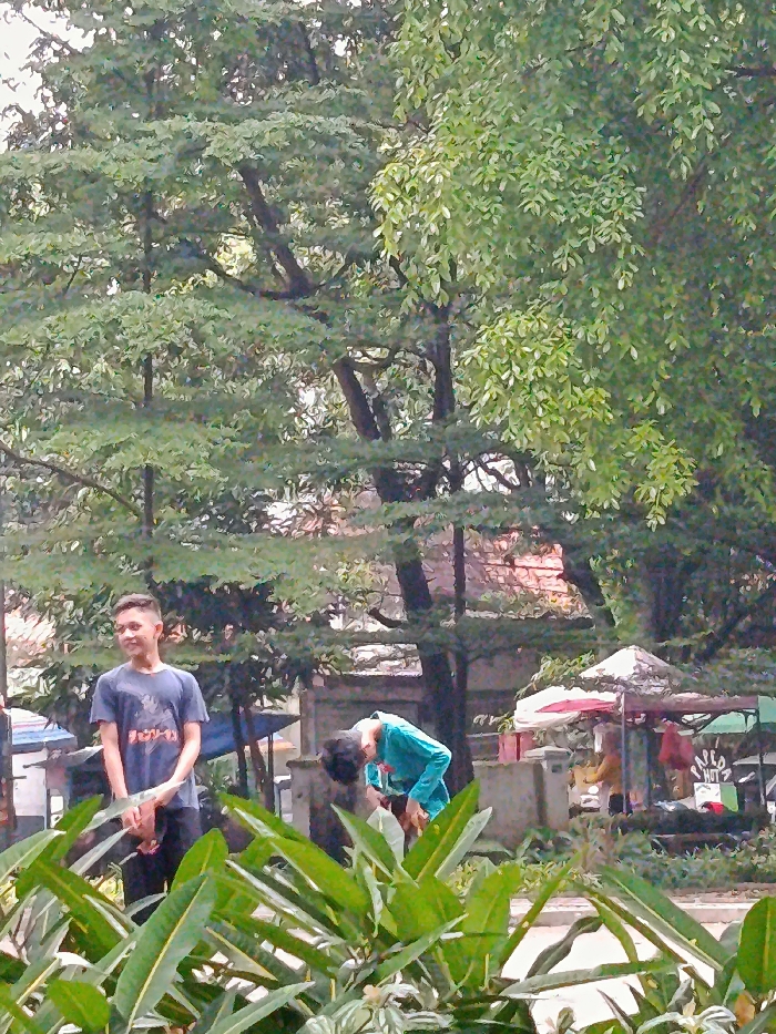 Memory
