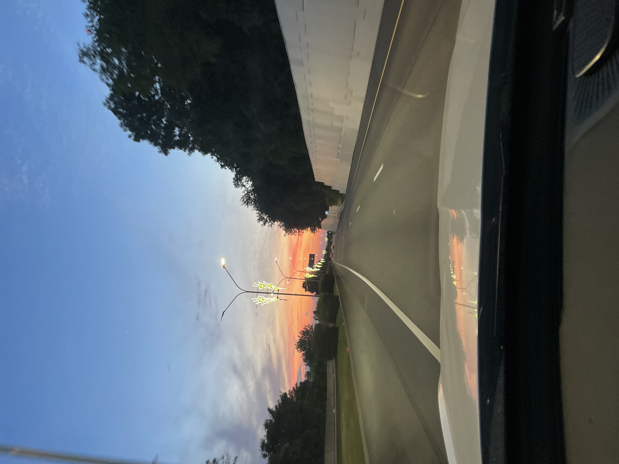The image shows a view from inside a vehicle looking forward onto a multi-lane highway at dusk. The sky is a gradient of blues and oranges, with vibrant hues of pink and yellow indicating a sunset. Tall streetlights with decorative yellow lighting adorn the median of the highway, and other vehicles are visible in the distance. On the right side of the highway, there is a tall, textured white sound barrier. Dense, dark green trees line the left side of the highway, and a steep, tree-covered embankment rises on the right side behind the sound barrier. The hood of the vehicle is visible at the bottom of the frame, reflecting the colors of the sunset. This scene is located on a highway in Bogushevka, Russia.