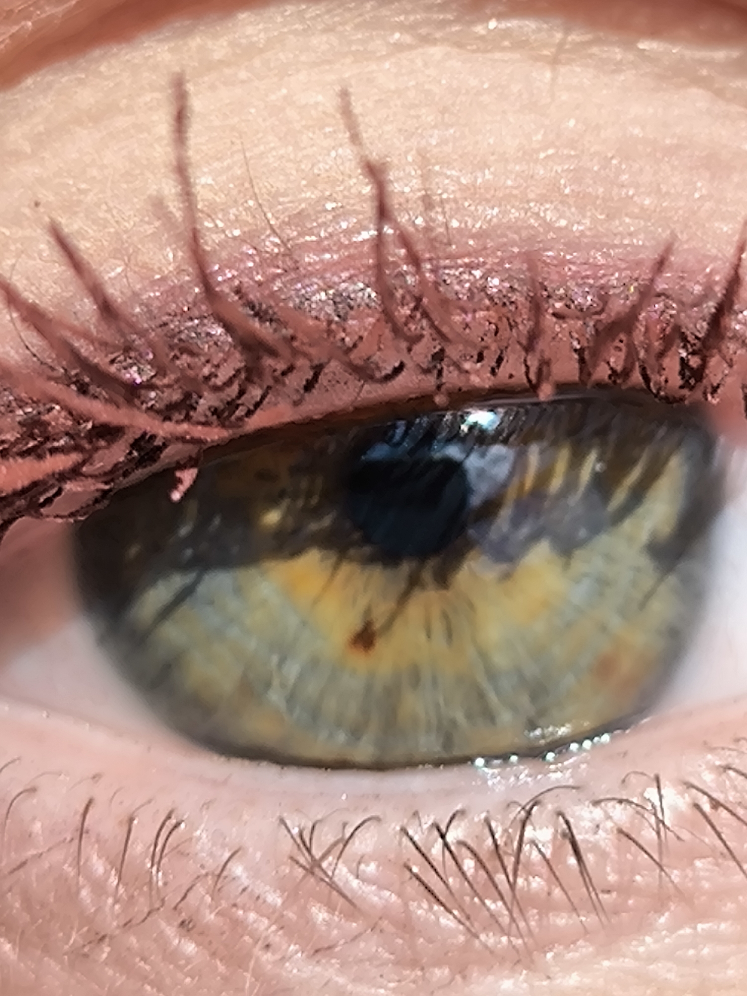 This is an extreme close-up, macro photograph of a human eye. The central subject is the iris, which displays a striking blend of colors, primarily green-blue and grey, transitioning into golden-brown and amber tones closer to the black pupil. A small, dark brown spot is visible within the golden-brown section of the iris below the pupil. The pupil itself is black and appears relatively small, suggesting bright ambient light.
The upper eyelid is visible and features pink or reddish eyeshadow, which appears to have a shimmery or glittery finish. The upper eyelashes are coated with dark mascara, which looks somewhat clumpy and causes some lashes to stick together. The skin of the upper eyelid shows fine texture and subtle lines.
Below the eye, the lower eyelid is visible with natural, shorter eyelashes and fine vellus hairs (peach fuzz) on the skin. A subtle line of moisture or tear film is apparent along the lower lash line. Bright reflections are noticeable in the pupil and on the surface of the eye, indicating a direct or strong light source. The overall image is brightly lit, showcasing intricate details of the eye and surrounding skin. No specific location, time of day, or visible text can be determined from this close-up.