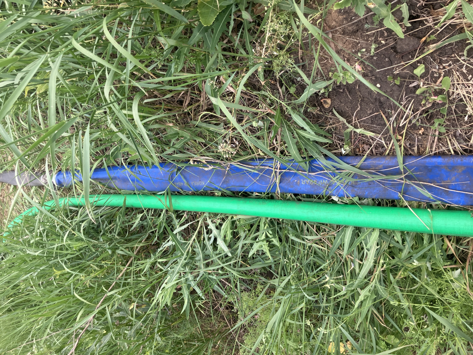 This is a close-up, eye-level shot of two pipes lying in tall grass and dirt. The pipes are oriented vertically, parallel to each other. The pipe on the left is bright green, and the pipe on the right is blue. Both appear to be made of plastic. The blue pipe has some visible markings or text on its surface. The grass is dense and of varying heights, with some dry stalks mixed in with green blades. Patches of dark, disturbed soil are visible between the grass and around the pipes, suggesting the ground has been dug or is naturally uneven. The overall impression is of an outdoor, unkempt area, possibly a yard or a field. The location is Berdianka, Ukraine. There are no people or animals visible in the image.