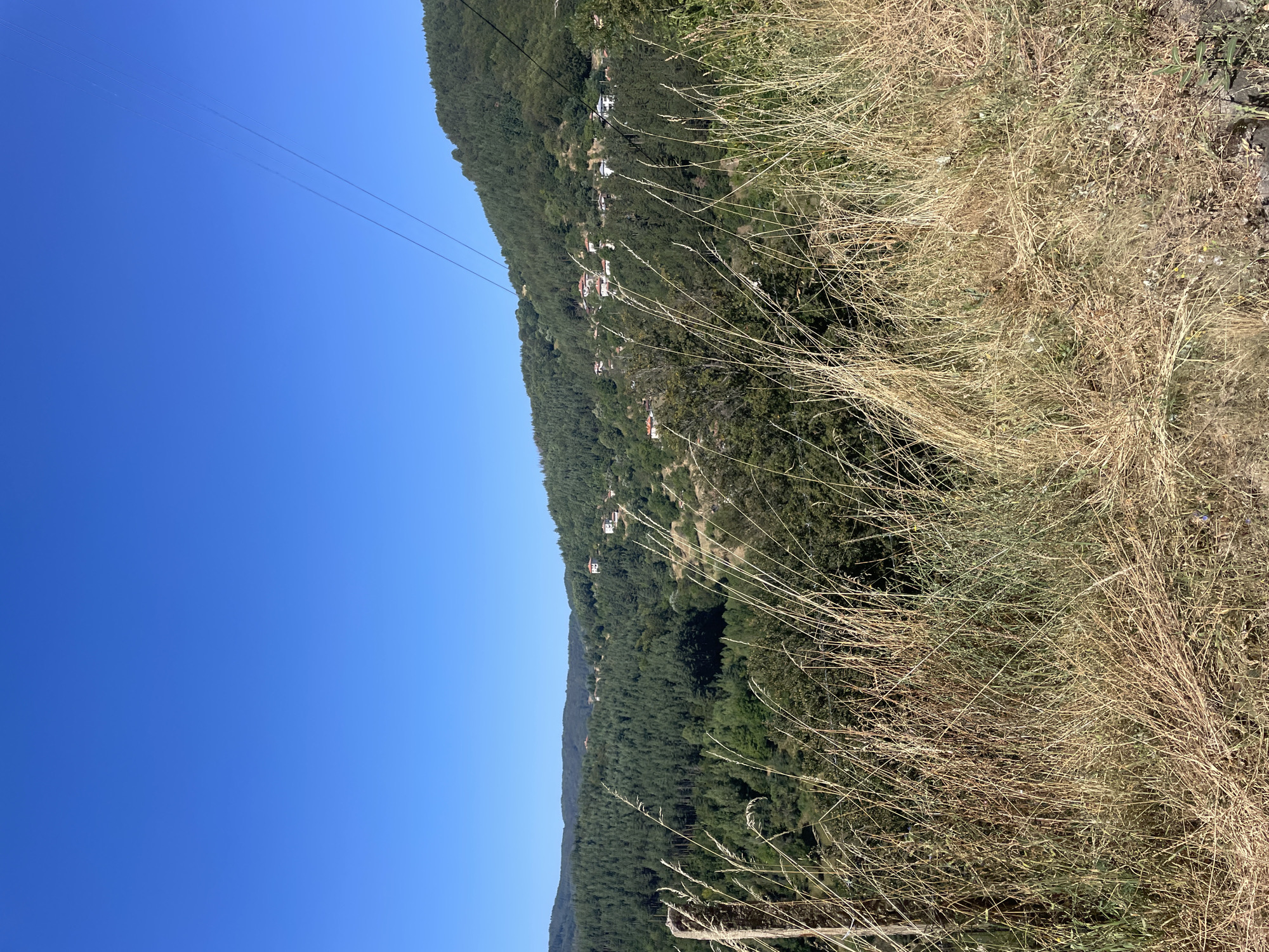 The image depicts a scenic view of the village of Davidkovo, Bulgaria, on a clear, sunny day. The foreground is dominated by dry, golden grasses and some vegetation, with a weathered wooden post on the left. In the midground and background, rolling hills covered in lush green forests rise. Scattered amongst the trees and along the hillsides are several white houses with red-tiled roofs, indicating the presence of a settlement. Power lines are visible stretching across the upper right portion of the frame, against a vibrant, cloudless blue sky. The overall impression is one of a peaceful, rural landscape.