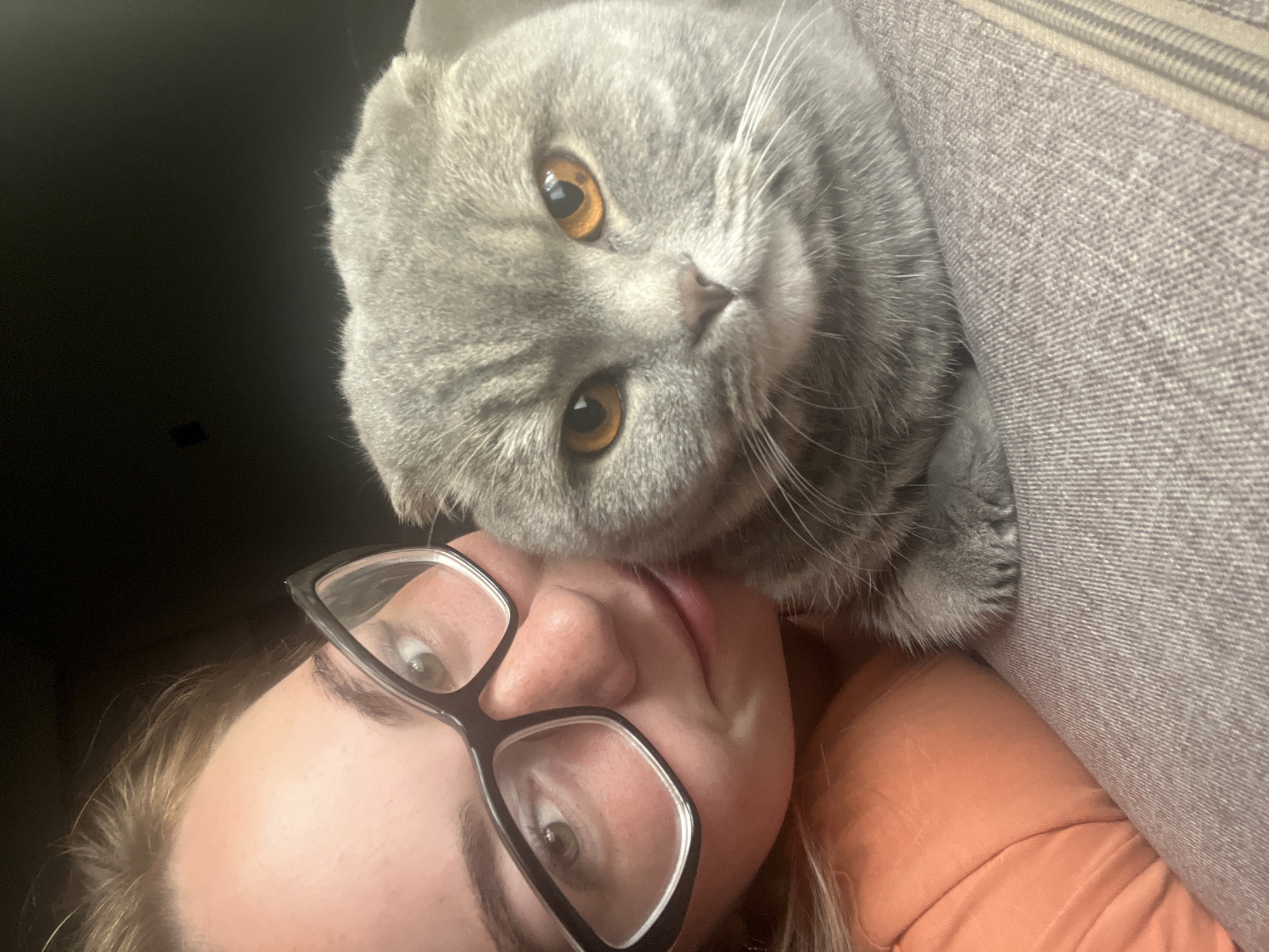 This is a close-up selfie of a young woman with blonde hair and glasses, wearing an orange shirt, with a grey Scottish Fold cat resting next to her head. The cat has large, orange eyes. They are positioned close together, suggesting intimacy or affection. The background is dark and out of focus. The image appears to be taken indoors, possibly in a home environment. There is no information in the image to suggest the location is in the city of Chaikovsky, Russia.