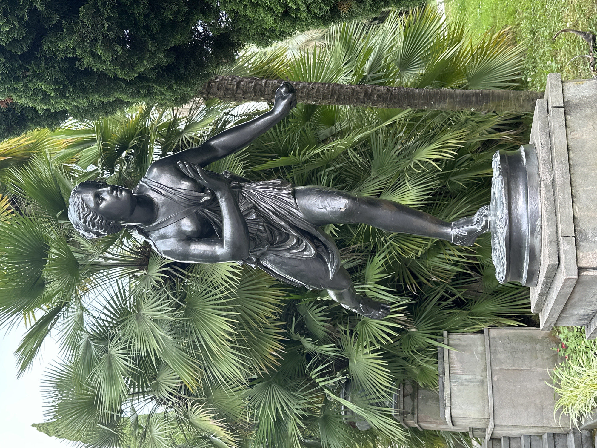 This media file depicts a dark bronze statue of a standing woman, likely a classical figure, positioned outdoors in a lush, green environment. The statue is draped in flowing fabric, with her left arm raised and her right arm bent across her chest. Her gaze is directed upwards and to the left. The sculpture stands on a multi-tiered stone pedestal.
Surrounding the statue are dense palm fronds, some appearing large and fan-shaped, characteristic of a warm climate. Above and behind the statue, dark green coniferous trees are visible, creating a contrasting texture and color against the lighter greens of the palm foliage. The lighting suggests it is daytime, with diffused light, possibly indicating an overcast or cloudy sky, as there are no strong shadows.
The overall setting appears to be a garden or park, given the presence of manicured trees and the ornamental nature of the statue and its pedestal. The combination of palm trees and coniferous trees suggests a location that can support diverse plant life. The image is oriented vertically, with the statue appearing to lean slightly to the left from the viewer's perspective. No text is visible in the image. The context provided places this scene in Sochi, Russia, a location known for its subtropical climate and botanical gardens.
