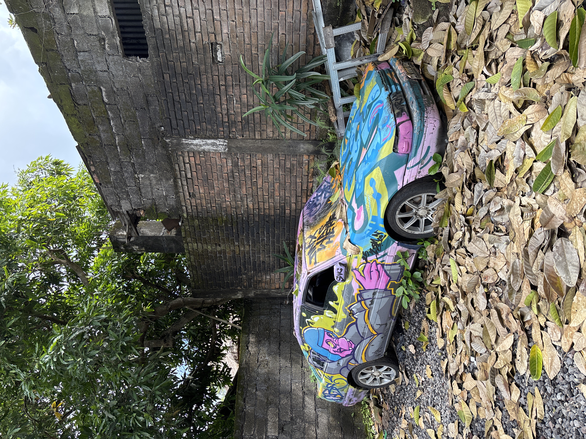 An outdoor, slightly elevated view captures a vibrant, heavily graffitied car parked next to a weathered brick wall, surrounded by natural elements. The car, possibly an older model, is a canvas of colorful street art, featuring stylized figures, abstract shapes, and energetic lines in shades of blue, yellow, pink, purple, and black. One visible character on the side appears to be a figure in a blue hat with pink skin and gray clothing. The car's wheels are visible, with silver rims.
To the right of the car, the ground is covered in a dense layer of dry, brown and tan leaves, mixed with some green foliage and small gray gravel. A metal ladder leans against the wall behind the car, partially obscured by plants. A dark, moss-covered brick wall forms the backdrop, showing signs of age and decay, with some lighter-colored patches and a small rectangular opening high up. A lush green tree with dense foliage occupies the left side of the frame, its leaves providing a stark contrast to the weathered structures and dry ground. The sky, visible in the upper left, is bright and clear, indicating daytime. There is no explicit activity taking place, rather the scene depicts an abandoned vehicle transformed into an art piece within a natural, slightly neglected setting. No clearly discernible words are visible within the graffiti, only abstract text elements. The scene evokes a blend of urban decay, artistic expression, and nature's slow reclamation.