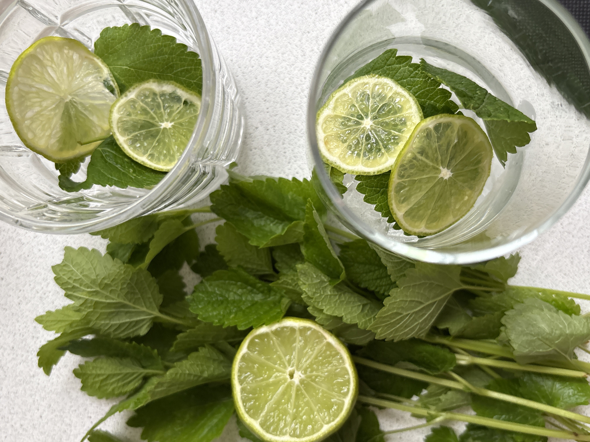An overhead, close-up shot displays ingredients arranged for a beverage on a light-colored, textured surface. A substantial quantity of fresh green leaves, consistent with mint or lemon balm due to their serrated edges and visible venation, occupies the left and central portion of the frame. One prominent lime slice rests on these leaves in the mid-left. Two clear, faceted glass tumblers are positioned in the upper and lower right quadrants. Each tumbler contains several similar green leaves and two thin slices of lime. The lime slices exhibit a visible cross-section of pulp and segments. The arrangement indicates the preparation stage for a drink. No human presence or direct action is depicted. The objects are situated on an indoor surface with a discernible woven or fabric-like texture, appearing off-white or light gray. There are no visual cues or identifying markers within the image to ascertain its specific geographical location, including the city of Saint Petersburg, Russia.