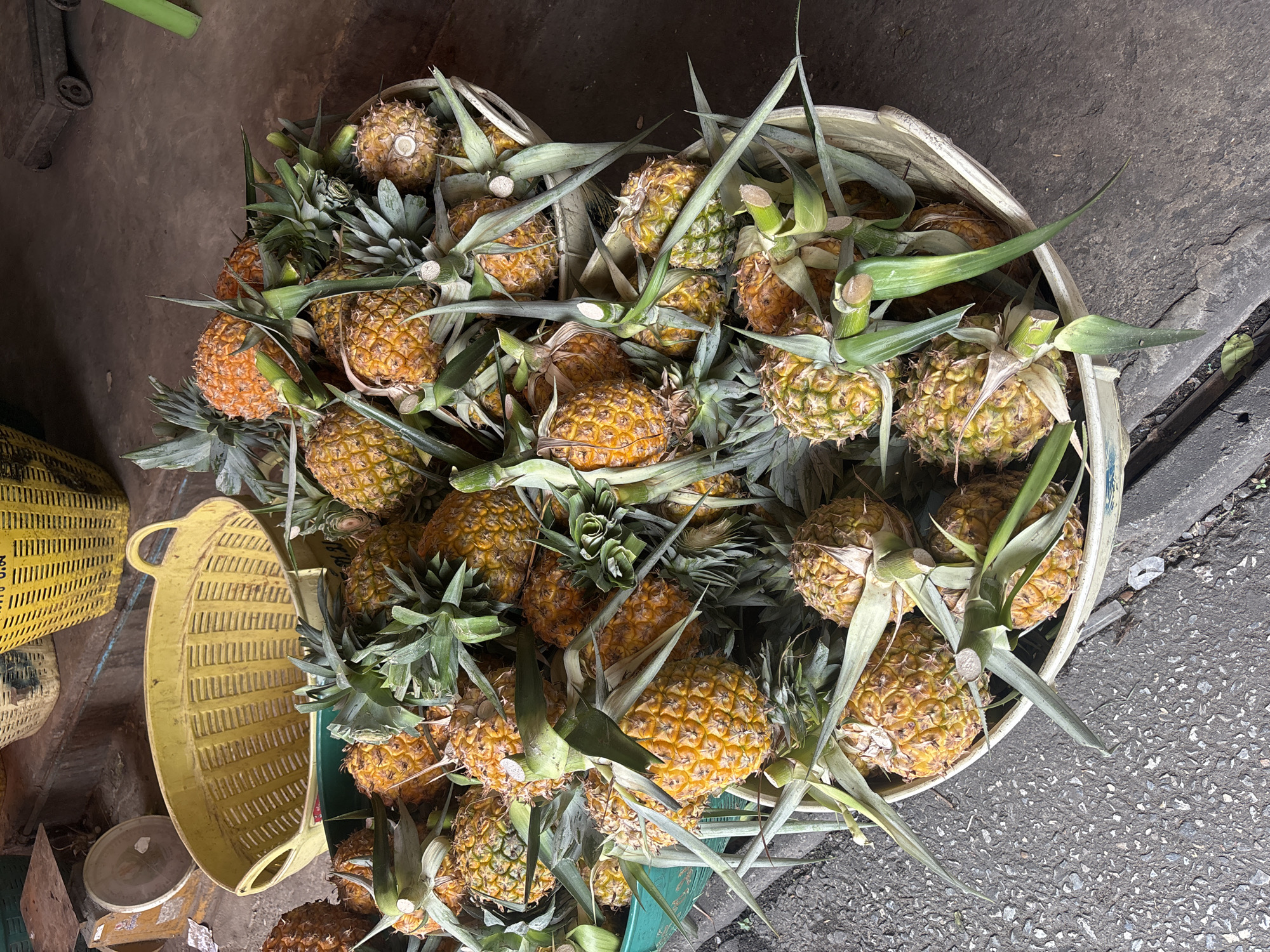 The image depicts an outdoor market scene in Chiang Mai City Municipality, Thailand, with a focus on a large quantity of pineapples. The pineapples are piled high in what appear to be woven baskets, with some baskets made of natural fibers and others appearing to be made of plastic. The pineapples themselves are a mix of yellow and green, indicating varying stages of ripeness. The surrounding environment suggests a functional, likely informal, commercial setting. In the background, there are hints of other market elements, including what looks like a scale and more woven baskets. The ground beneath the baskets is a paved surface, possibly asphalt or concrete, with some debris visible, typical of an outdoor marketplace. There are no people visible in the image, and the focus remains on the produce and the containers.