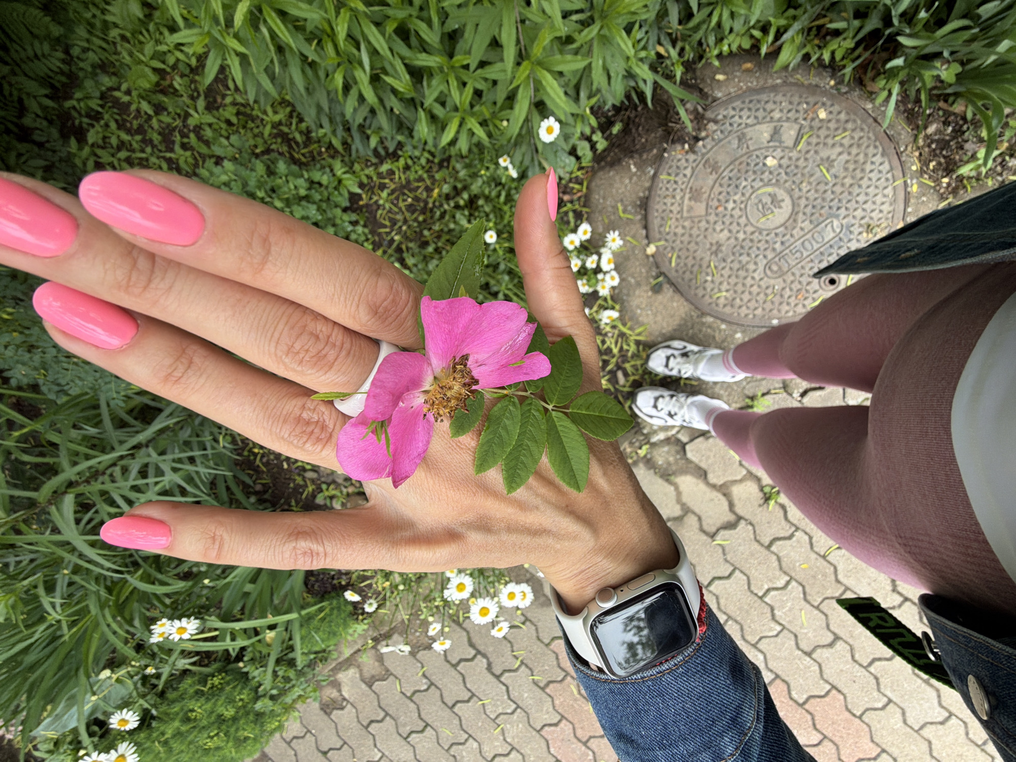 A first-person perspective shot shows a person holding a pink flower with green leaves in their right hand. The person's hand has long, bright pink, oval-shaped fingernails. A white ring is visible on the index finger. The person is wearing a denim jacket over a white shirt, and a light gray smartwatch on their left wrist. They are also wearing pink leggings and white athletic shoes with pink accents. The ground is paved with interlocking bricks. Surrounding the paved area is greenery with small white daisies scattered throughout. A circular metal manhole cover is visible in the lower right portion of the frame. The scene appears to be an outdoor urban setting in Birobidzhan, Russia, likely a park or sidewalk area.