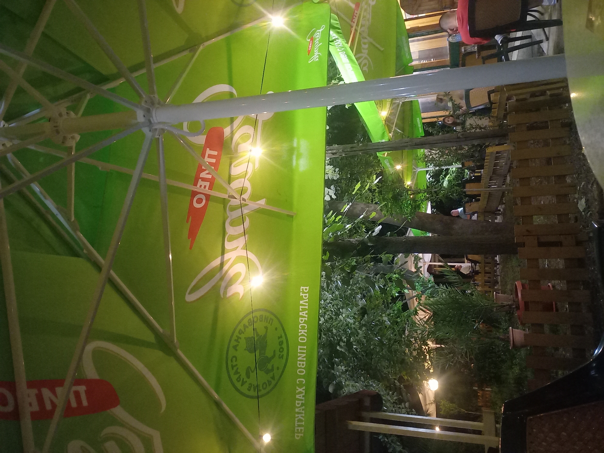 This image depicts an outdoor, nighttime scene at a cafe or restaurant located in Parvomay, Bulgaria. The viewpoint is from beneath a large, bright green patio umbrella, which dominates the upper portion of the frame. The umbrella's underside features visible white metal support ribs and a central pole. Printed logos on the green fabric include "Zlaten Dab" (Golden Oak), a beer brand, displayed in Cyrillic script. A circular emblem showing a stylized lion or cat and the year "1903," with additional Cyrillic text "Zlaten Dab Stara Ohridska," is also present. Several incandescent string lights are strung beneath the umbrella, creating bright points of light and reflections.
Below the umbrella, an outdoor seating area is visible, characterized by abundant dark green foliage from trees and potted plants. A low, light brown wooden picket fence separates sections of the patio. In the background, sections of a building structure are visible. Artificial lighting illuminates the scene, creating shadows and highlights. Several individuals are present: on the far right, a man in a red shirt is seated at a table, with a plastic water bottle on the surface. Other figures are seated or standing in the middle distance, though their details are less clear due to lighting and distance. The ground appears to be a mix of paved and natural surfaces.