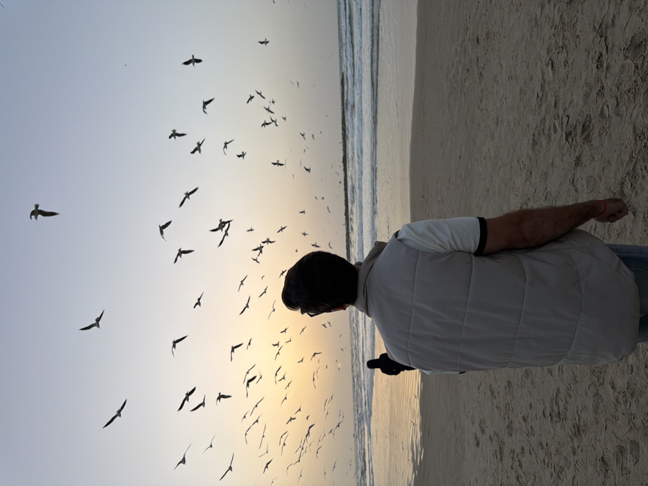 A man stands on a beach with his back to the viewer, gazing towards the ocean. A large flock of birds fills the sky, silhouetted against the setting sun. He is wearing a light-colored puffer vest, a white shirt with black trim, and jeans. The beach stretches out on the right, meeting the ocean waves in the background. The sky transitions from a light gradient to a warm golden hue.