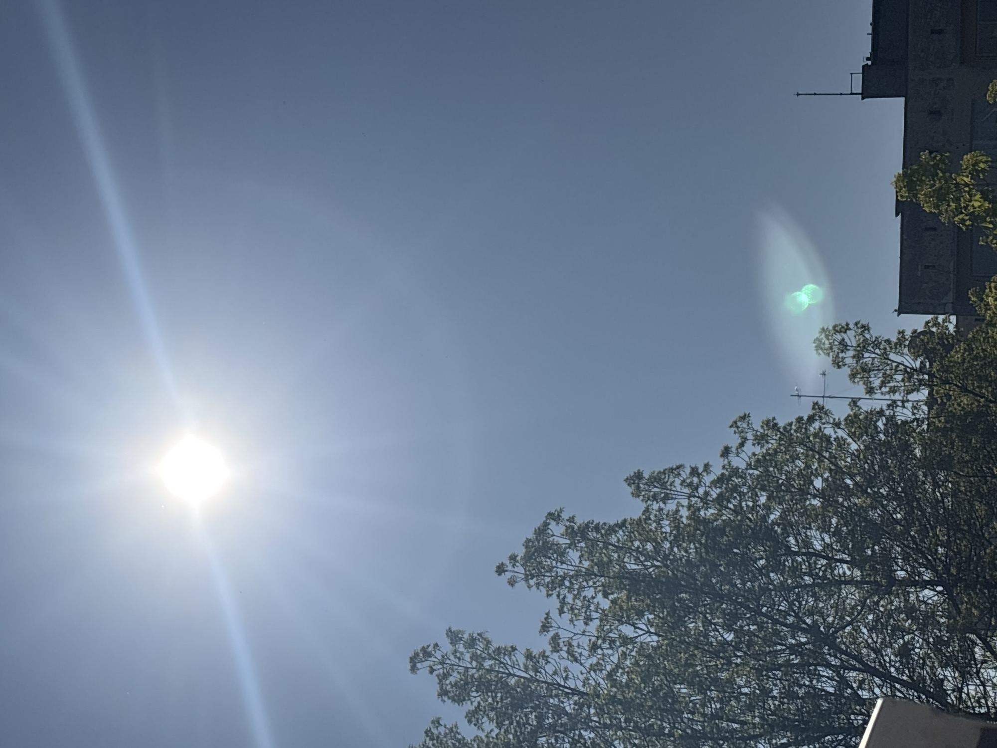 The image shows a bright, sunny sky with a building partially visible on the right side, its architecture suggesting it may be in Sofia, Bulgaria. A tree with dense foliage occupies the lower right portion of the frame. The sun is positioned on the lower left, emitting bright rays. A lens flare is visible in the upper-right sky. The overall impression is an upward-looking perspective on a clear day.