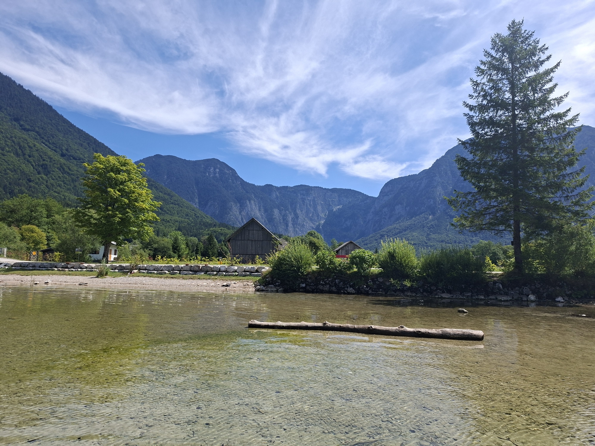 The image shows a serene natural landscape with a body of clear, shallow water in the foreground. The water's surface is slightly rippled, revealing the pebbled bottom and some patches of green algae. A large, weathered log floats horizontally in the water, partially submerged.
The background features a treeline of lush green vegetation and trees, with a large, mature pine tree standing prominently on the right side of the frame. Behind the trees, a cluster of rustic buildings, including a large wooden barn and a smaller structure with a red roof, are visible. Further back, imposing, steep, and heavily forested mountains dominate the horizon, their peaks disappearing into the blue sky. Wispy white clouds are scattered across the sky, indicating a bright, possibly sunny day.
The scene is located in the vicinity of Obertraun, Austria, a town situated on the shores of Hallstätter See (Lake Hallstatt) in the Salzkammergut region. The presence of the lake, the surrounding mountains, and the traditional Austrian architecture strongly suggest this location. The image captures a peaceful, idyllic natural setting, likely a lakeside view. There are no people or animals visible in the image.