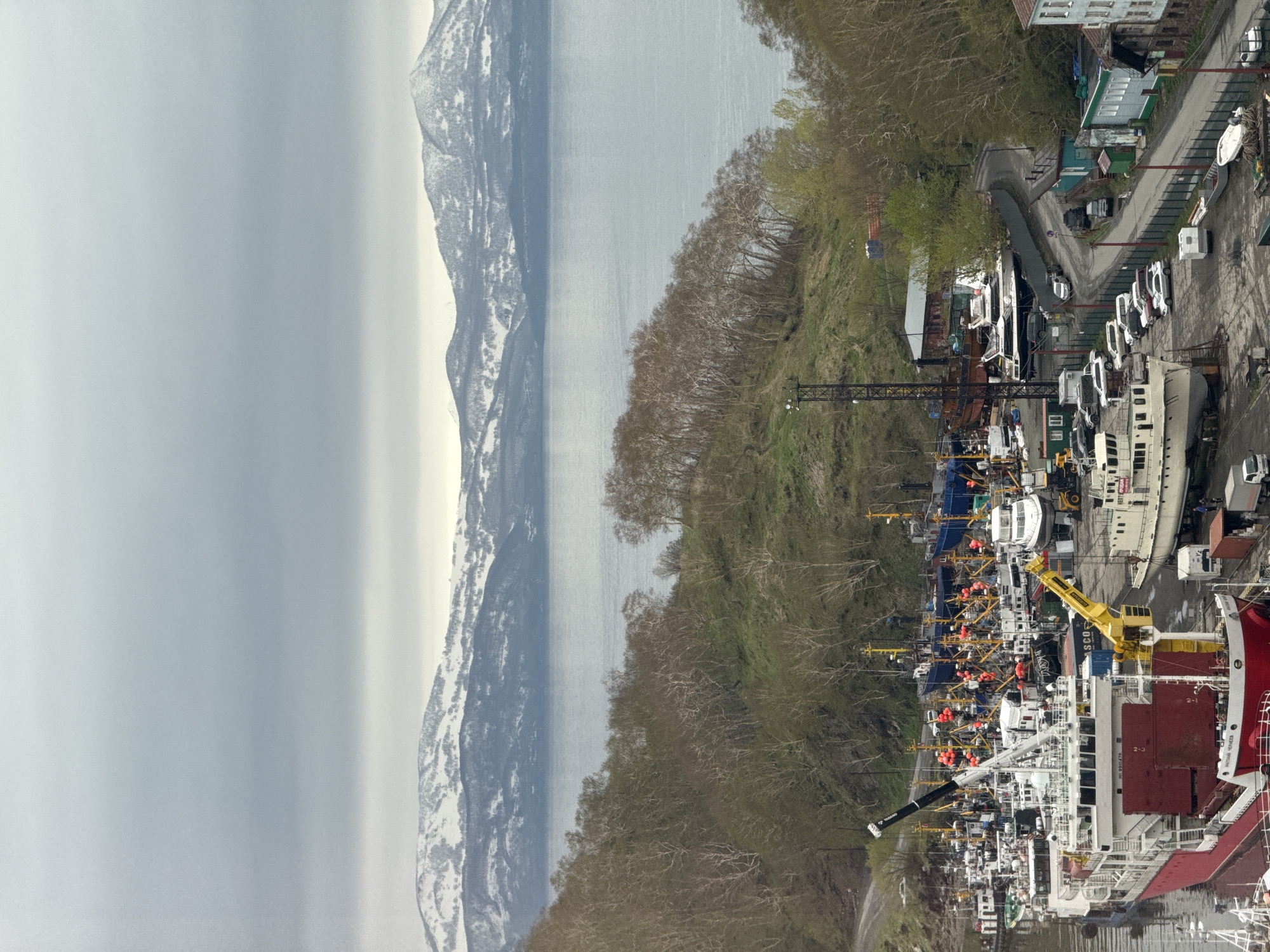 The image shows a harbor area in Petropavlovsk-Kamchatsky, Russia, with a large number of fishing vessels docked closely together. Several cranes are in operation alongside the ships. The harbor is bordered by a steep, wooded hillside. A road with parked vehicles runs along the top of the hillside, near buildings. In the background, across the water, a snow-covered mountain range is visible. The sky is overcast.