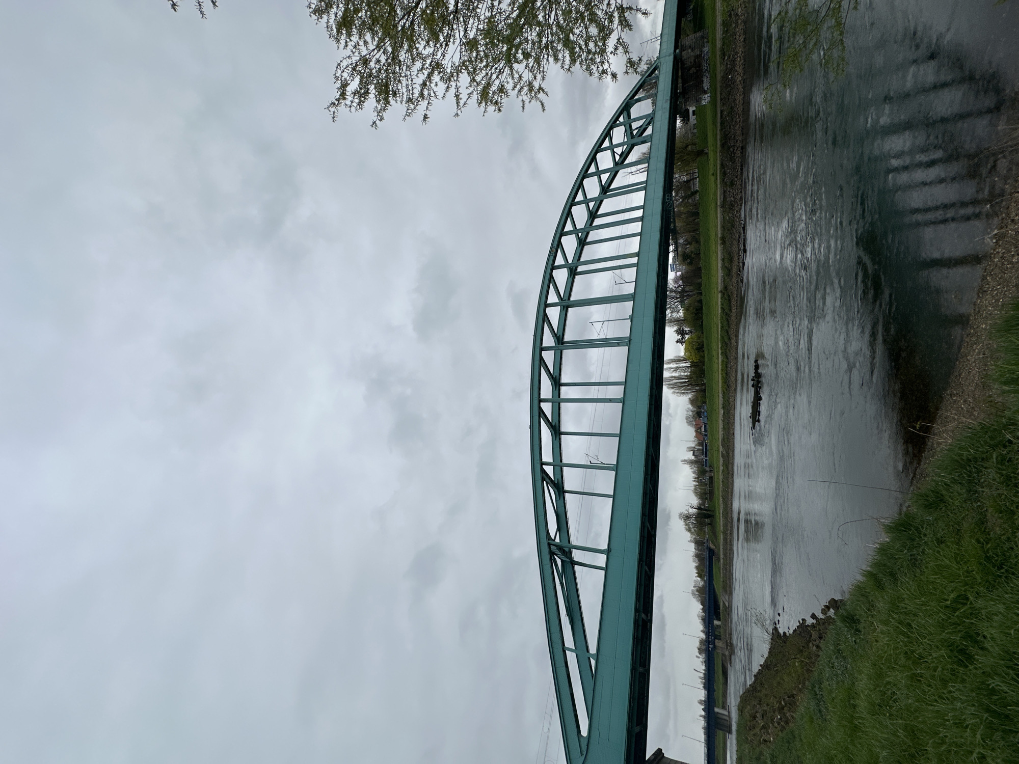A wide-angle, eye-level shot captures a teal-colored steel arch railway bridge spanning the Sava River in Zagreb, Croatia, under an overcast grey sky. The bridge, identified as the Sava Railway Bridge, dominates the mid-ground with its distinct lattice structure and visible overhead electrical lines for trains. A second, narrower blue bridge is discernible further downriver to the left. The river's surface is dark and slightly rippled, reflecting portions of the bridge and the cloudy sky. Several dark, undefined objects partially break the water's surface in the river's center. The foreground consists of a grassy embankment leading to the river's edge, with some exposed earth. The opposing bank features a strip of green grass, a line of various trees with sparse early spring foliage, and distant residential or industrial structures, including what appear to be light poles. No human or animal subjects are present in the scene.