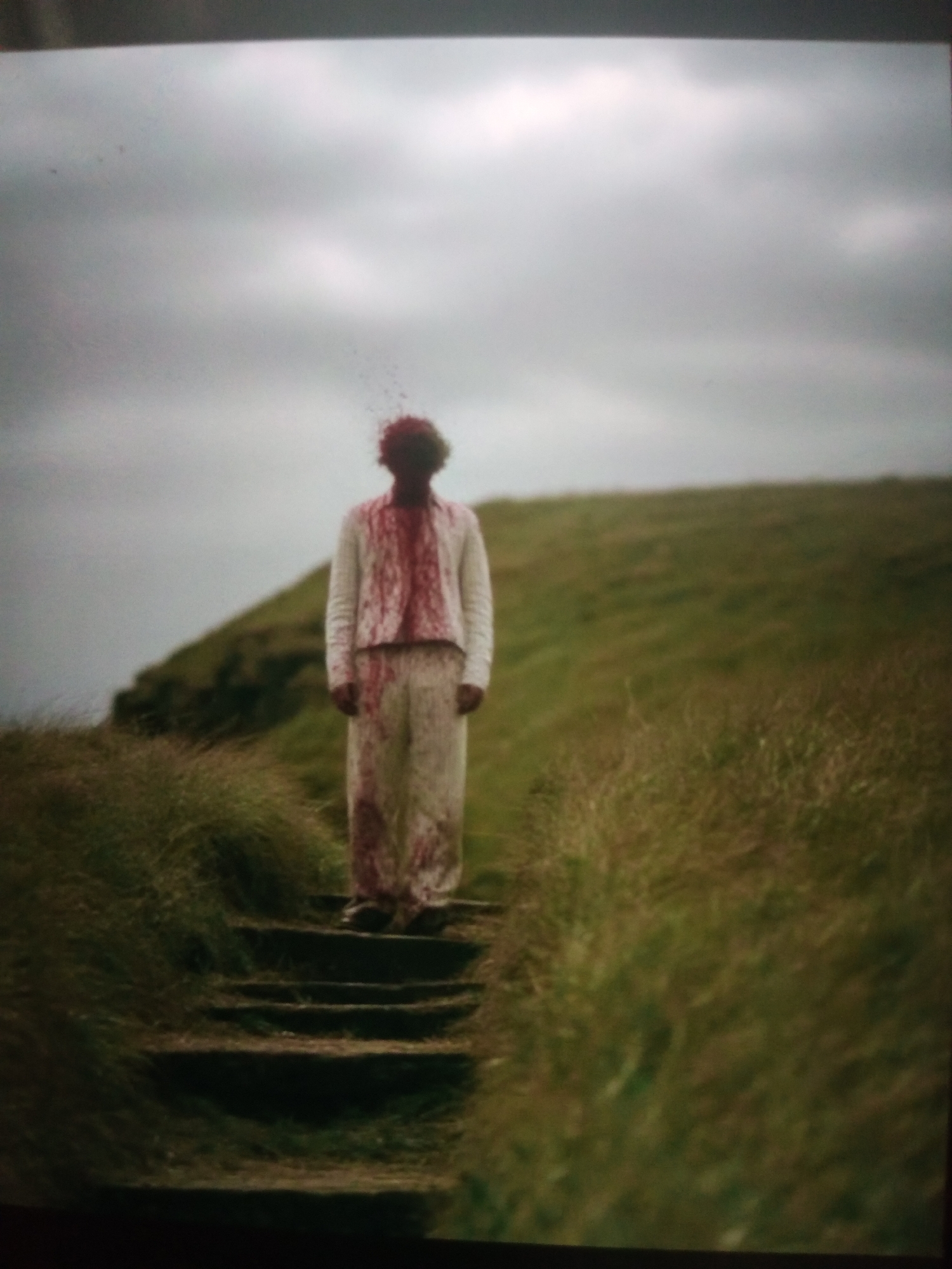 A person stands on a set of stone steps outdoors. The person is wearing a white top and pants, both of which are heavily splattered with red. The person's head is also covered in red, with some of it appearing to be sprayed outwards. The steps are surrounded by tall, green grass. Behind the person, a grassy hill slopes upwards, meeting a cloudy, overcast sky. The overall scene is dimly lit and has a somewhat desolate atmosphere. The image is a photograph, and its quality suggests it may have been taken with a phone camera or is a digital capture of a print, with some graininess and low resolution.
There is no information or visual evidence in this image that suggests the location is the city of Jalingo, Nigeria.
