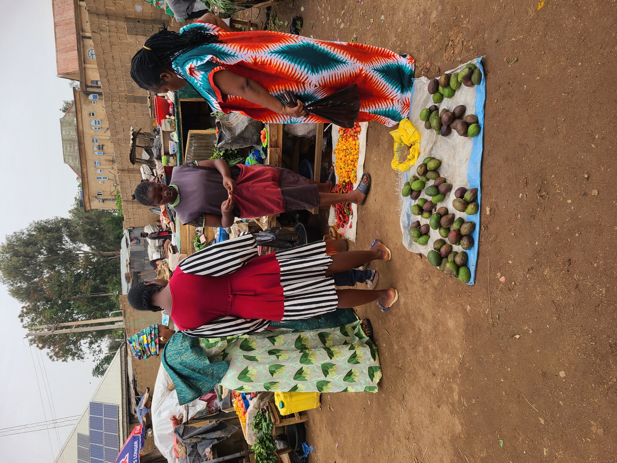 In an open-air market in Jos, Nigeria, several people are gathered around a vendor's stall. Avocados are displayed on a blue cloth on the ground, along with yellow peppers and red chili peppers. Women in colorful, traditional West African dresses and headwraps are shopping. One woman is holding a black hand fan. The ground is a mix of dirt and worn areas. In the background, buildings, trees, and power lines are visible. Solar panels can be seen in the lower left corner. The market appears active, with numerous vendors and shoppers in the distance.