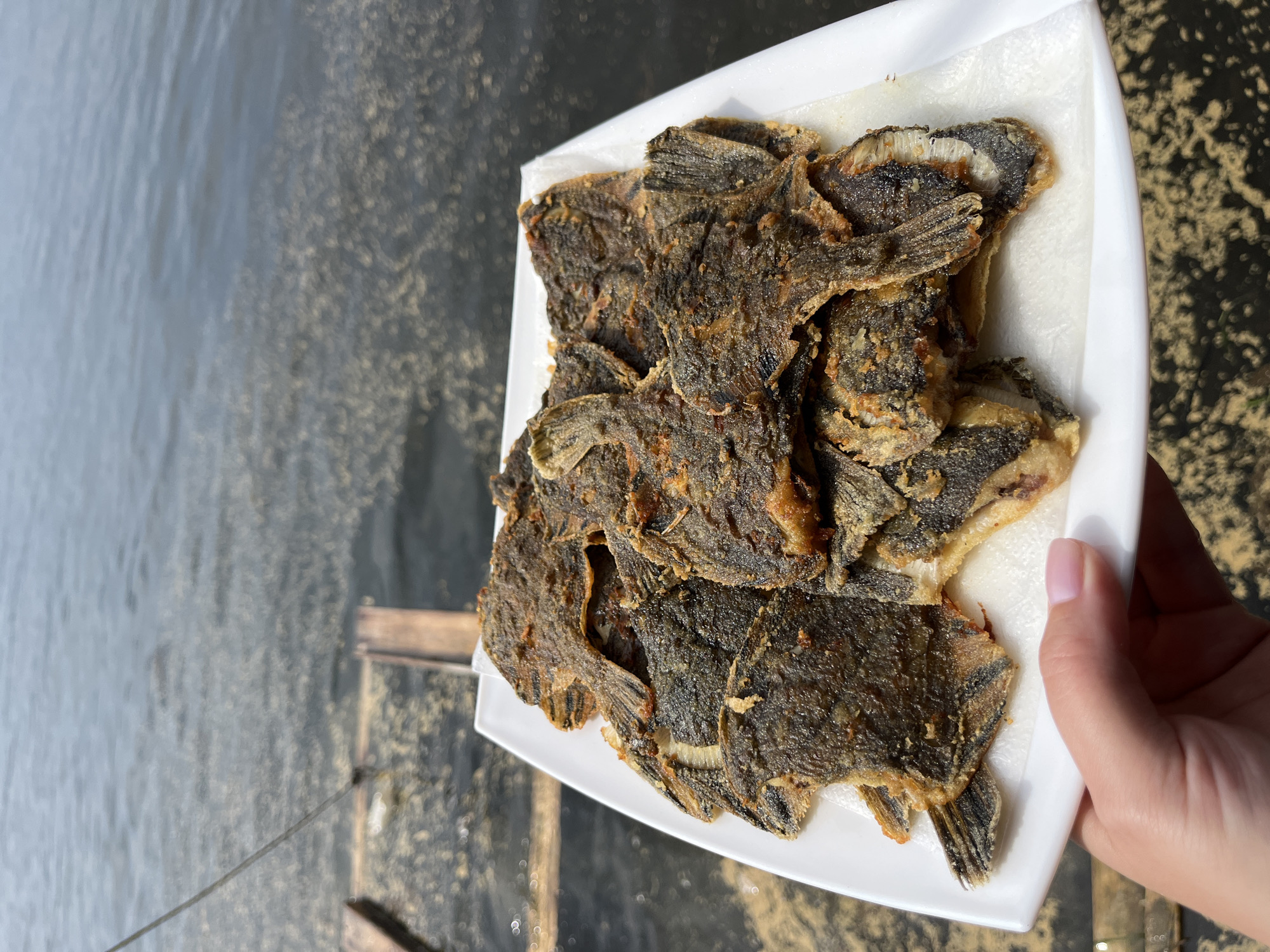 A person's hand with light pink nail polish holds a white plate filled with fried fish. The fish are small, flat, and appear to be seasoned and fried to a crispy, golden-brown texture. They are arranged in a pile on the plate, which is resting on a white paper napkin. The background is out of focus, showing a body of water with a wooden structure partially submerged. The water is murky with scattered debris on its surface, possibly suggesting a river or bay. The lighting indicates it is daytime. Based on the context of "Sovetskaya Gavan', Russia," this scene is likely depicting a meal enjoyed outdoors by a body of water, perhaps after a fishing trip.