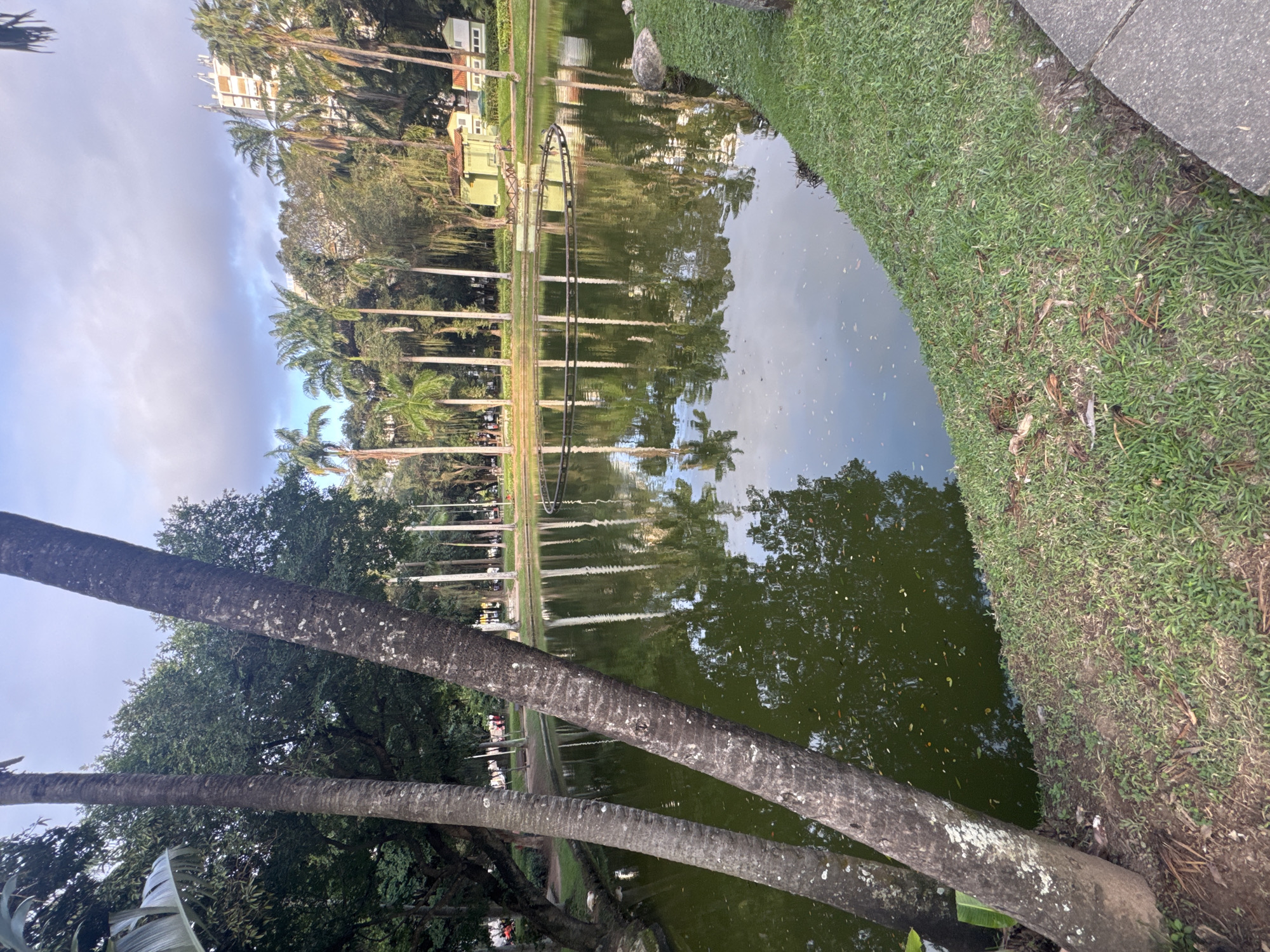 The image depicts a serene park scene in Niterói, Brazil. In the foreground, two large palm trees stand prominently, their rough bark textured by age. To the right, a calm, green-hued pond occupies the majority of the frame, its surface reflecting the surrounding trees and the sky. A circular structure, possibly a decorative fountain or remnant of one, is visible in the center of the pond. Beyond the pond, a lush green lawn slopes gently upwards, dotted with various trees, including more palm trees. In the background, a modern building with a white facade and multiple windows is visible, suggesting an urban setting within the park. The sky above is partly cloudy, with soft clouds casting shadows. The overall impression is one of tranquility and natural beauty within a city environment.
