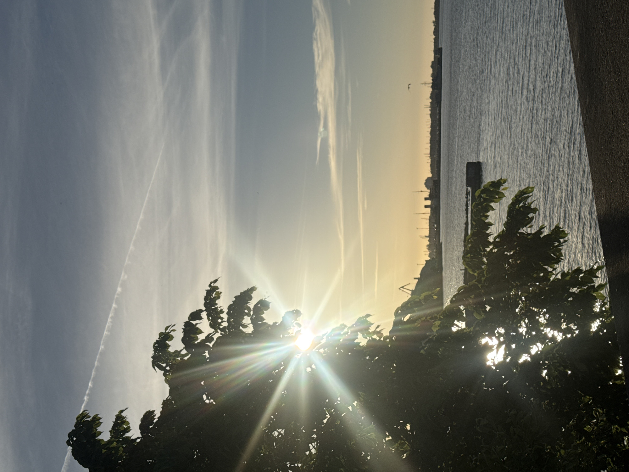 The image shows a coastal scene with a tree in the foreground, silhouetted against the bright sun. The sun's rays are bursting through the leaves, creating a lens flare effect. In the background, there is a body of water, a harbor with cranes and buildings, and a hazy sky with wispy clouds and a contrail. The scene appears to be set in Tallinn, Estonia, possibly along the coast near the city's industrial or port areas. The lighting suggests it is either sunrise or sunset. There are no people visible in the image.