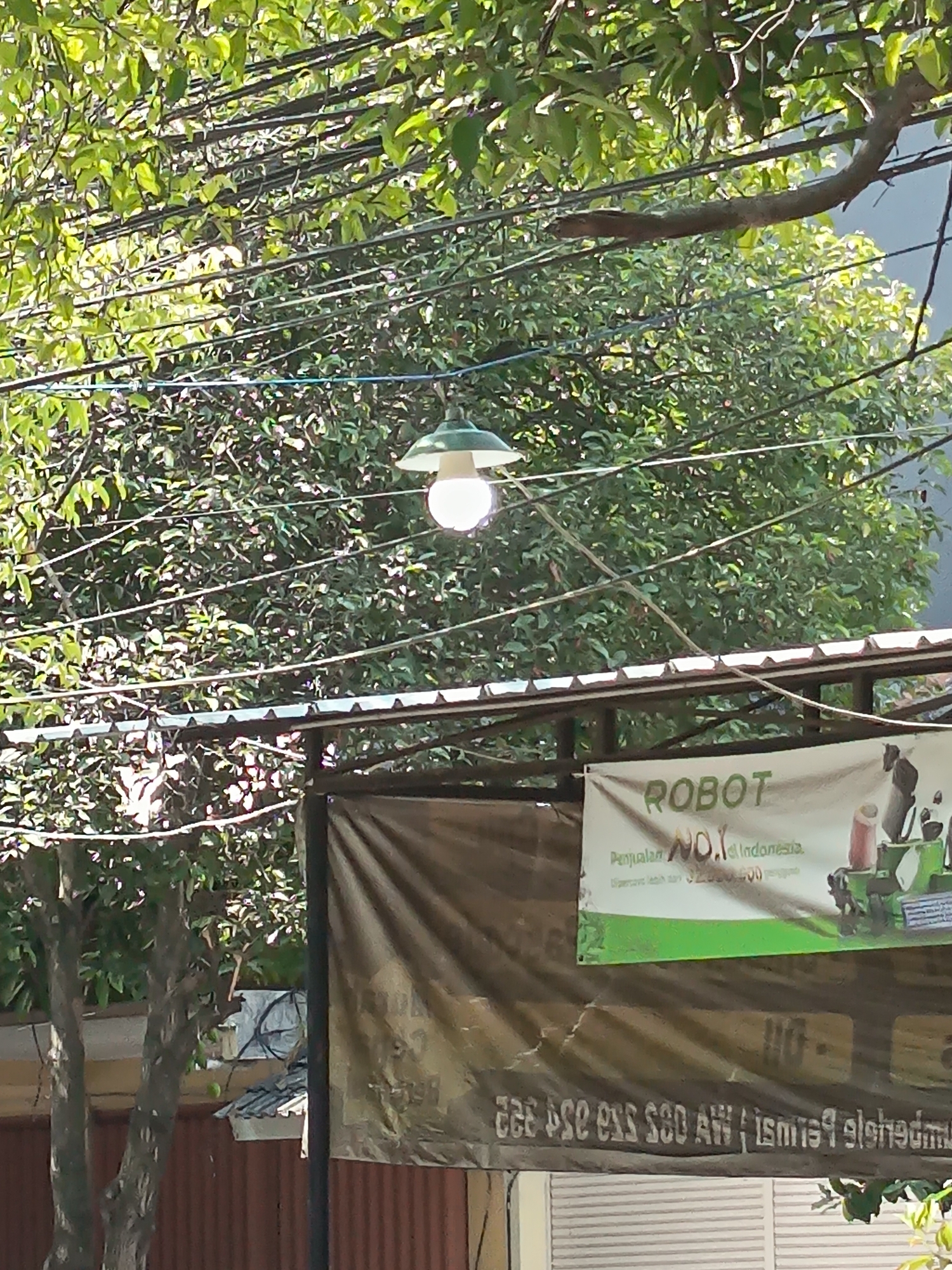 The image depicts an outdoor scene with lush green trees and foliage dominating the upper portion. A single light fixture, a pendant lamp with a green shade and a white bulb, hangs suspended amidst the branches and a network of electrical wires. Below the canopy of leaves, a tarp or banner hangs horizontally across the frame, supported by a visible metal structure. The banner features text and imagery, with the word "ROBOT" prominently displayed in large letters, followed by "NO.1 di Indonesia". A smaller line of text below reads "Penjualan Robot Terlengkap dan Termurah". A further line of text at the bottom appears to be in Indonesian and potentially a phone number. The lower part of the image shows a corrugated metal surface, likely part of a building or enclosure. The overall impression is that of an outdoor commercial or workshop space, possibly a business dealing in robotics, located in a tropical or subtropical environment. Specific details about the city of Kandangjati Kulon, Indonesia, are not visually present in the image itself, but the banner's text suggests the location.