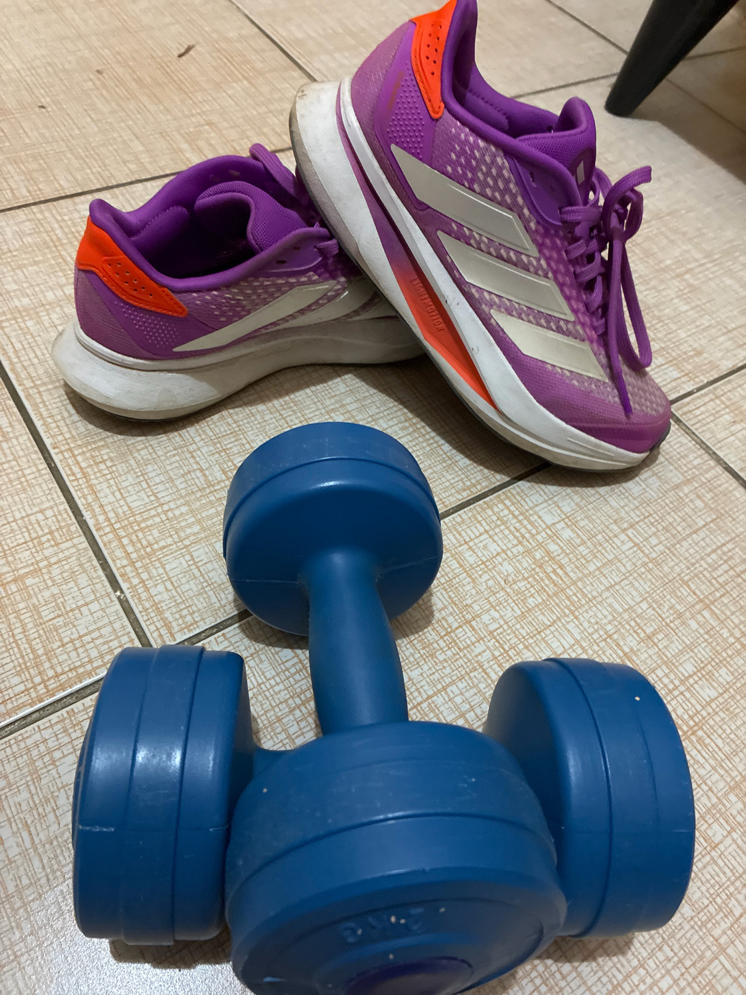 Two purple and white Adidas running shoes with orange accents are placed on a tiled floor. In front of the shoes, a blue dumbbell lies on its side. The scene is indoors, on a floor with a grid pattern of light brown tiles. The overall impression is a setup for a home workout. The image does not contain enough information to determine the location in Alanya, Turkey.