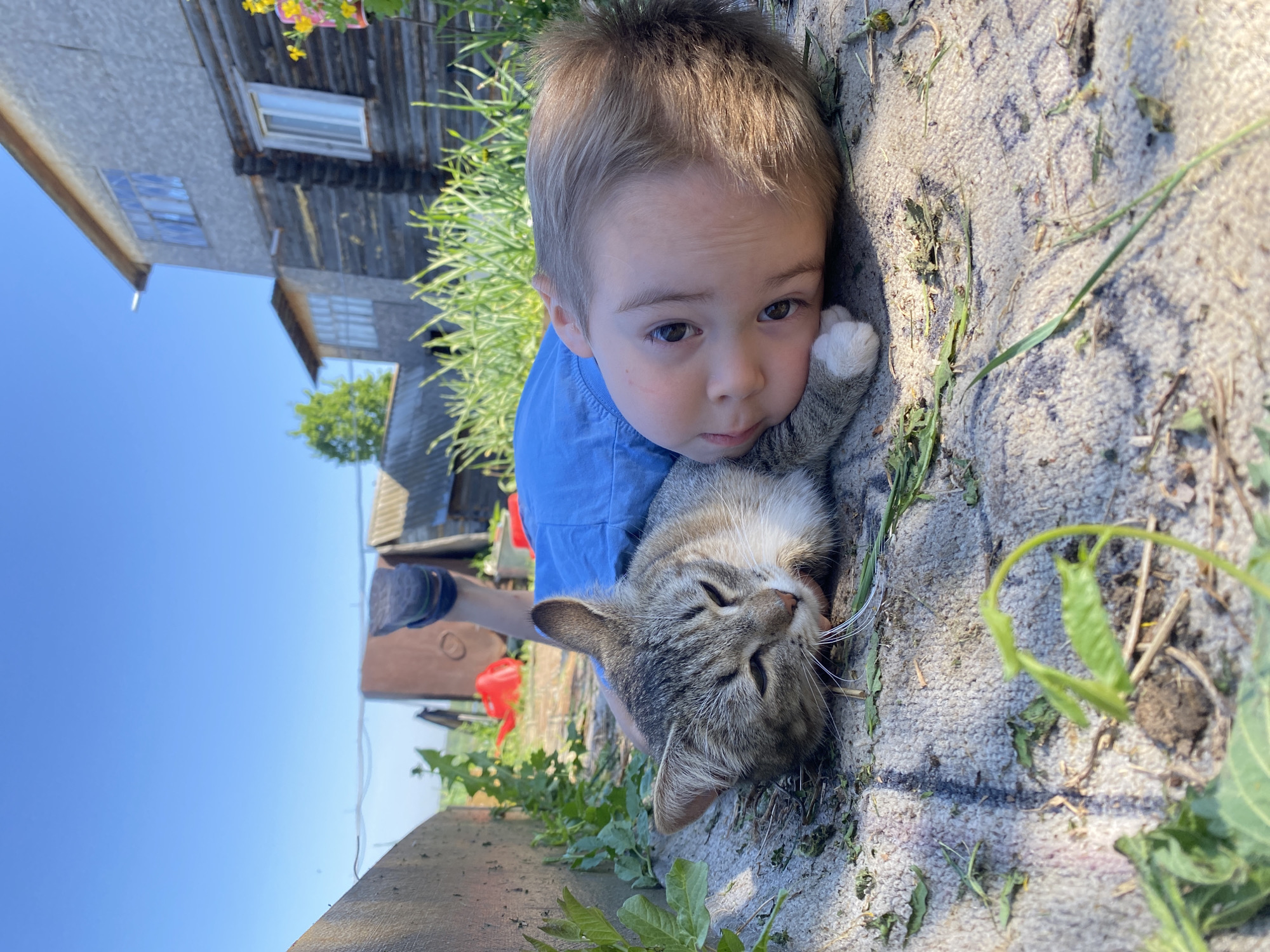 A child is lying on a rug outdoors with a cat. The child has short, light-brown hair, fair skin, and is wearing a blue shirt. The child's face is close to the camera, and they are looking towards the viewer. A gray and tan tabby cat is nestled beside the child. The rug is light colored and has a pattern. There are blades of grass and bits of leaves scattered around the rug. In the background, part of a wooden building with windows and flowers is visible. Beyond the building, the sky is blue. The location is Ольховка, Russia.