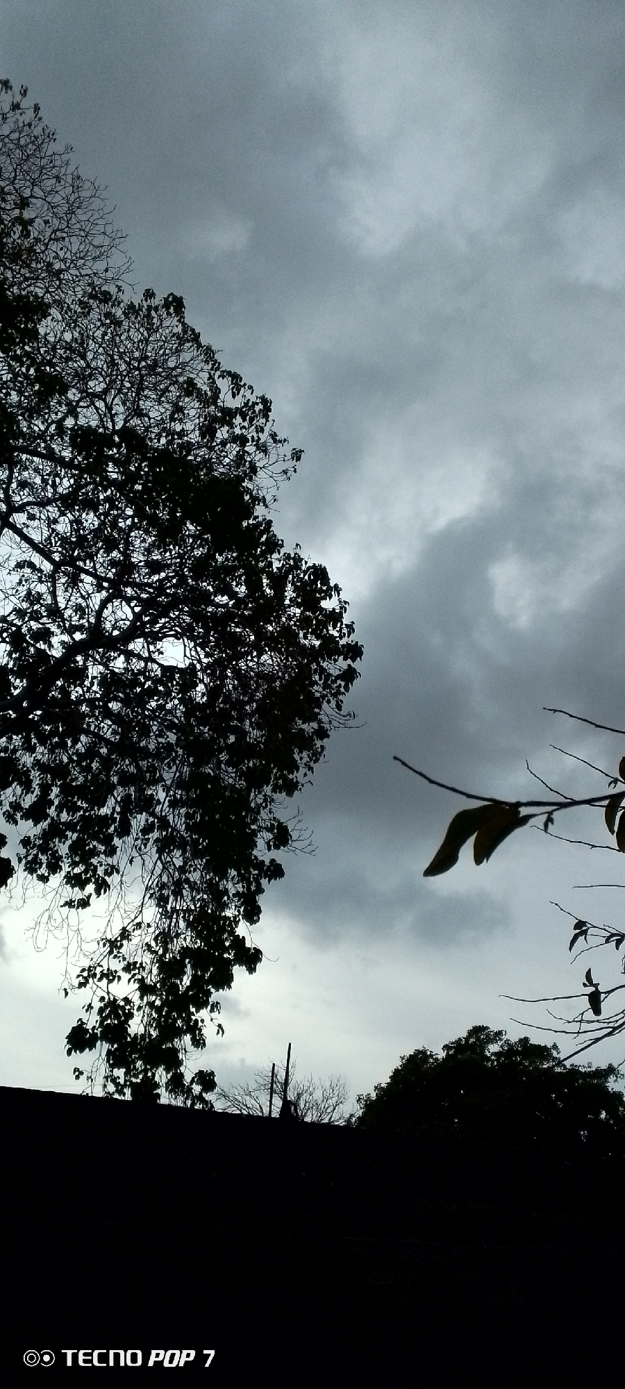 The photograph captures a low-angle view of the sky and surrounding vegetation, likely taken in Altagracia, Venezuela. The sky is overcast with thick, dark gray clouds. A large tree, silhouetted against the sky, dominates the left side of the frame. To the right, thinner branches with a few leaves are visible. The lower portion of the image is cast in deep shadow, obscuring the details of the ground and any potential structures. The words "TECNO POP 7" are visible in the lower-left corner.