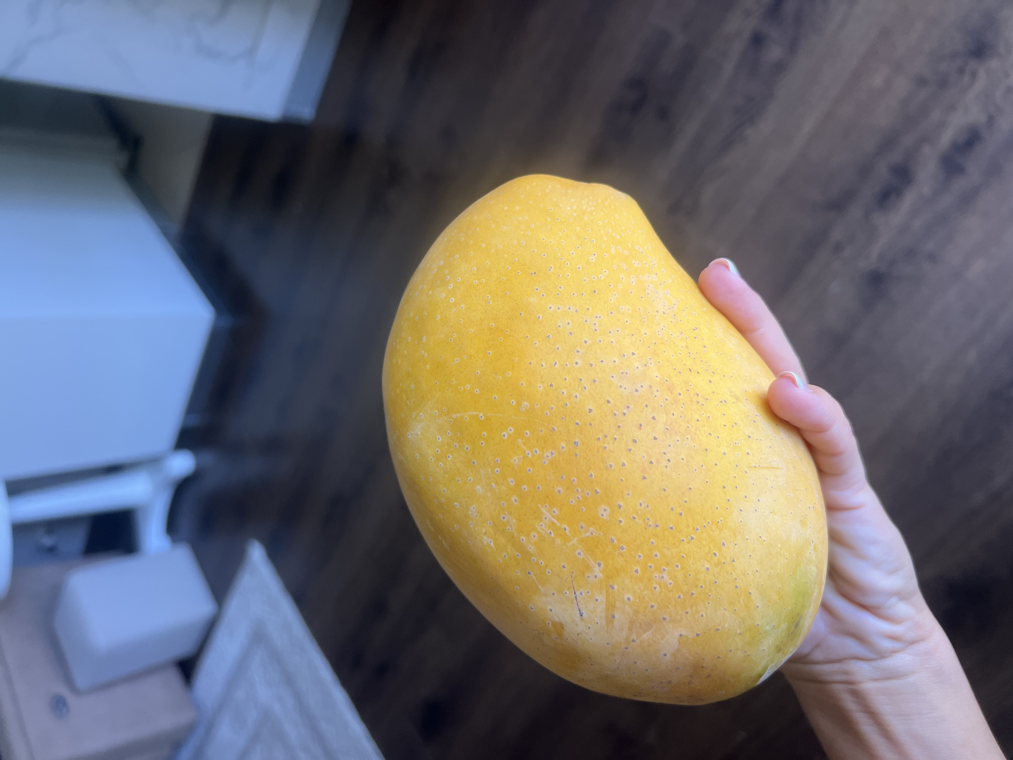 A hand holds a ripe, yellow mango with small brown speckles. The mango is oval-shaped and takes up a significant portion of the frame. The background is softly blurred, showing a dark wood floor and hints of furniture, including a white stool and a cream-colored rectangular object. The scene is indoors, in a domestic setting, with no indication of the city of Sharm El Sheikh, Egypt.