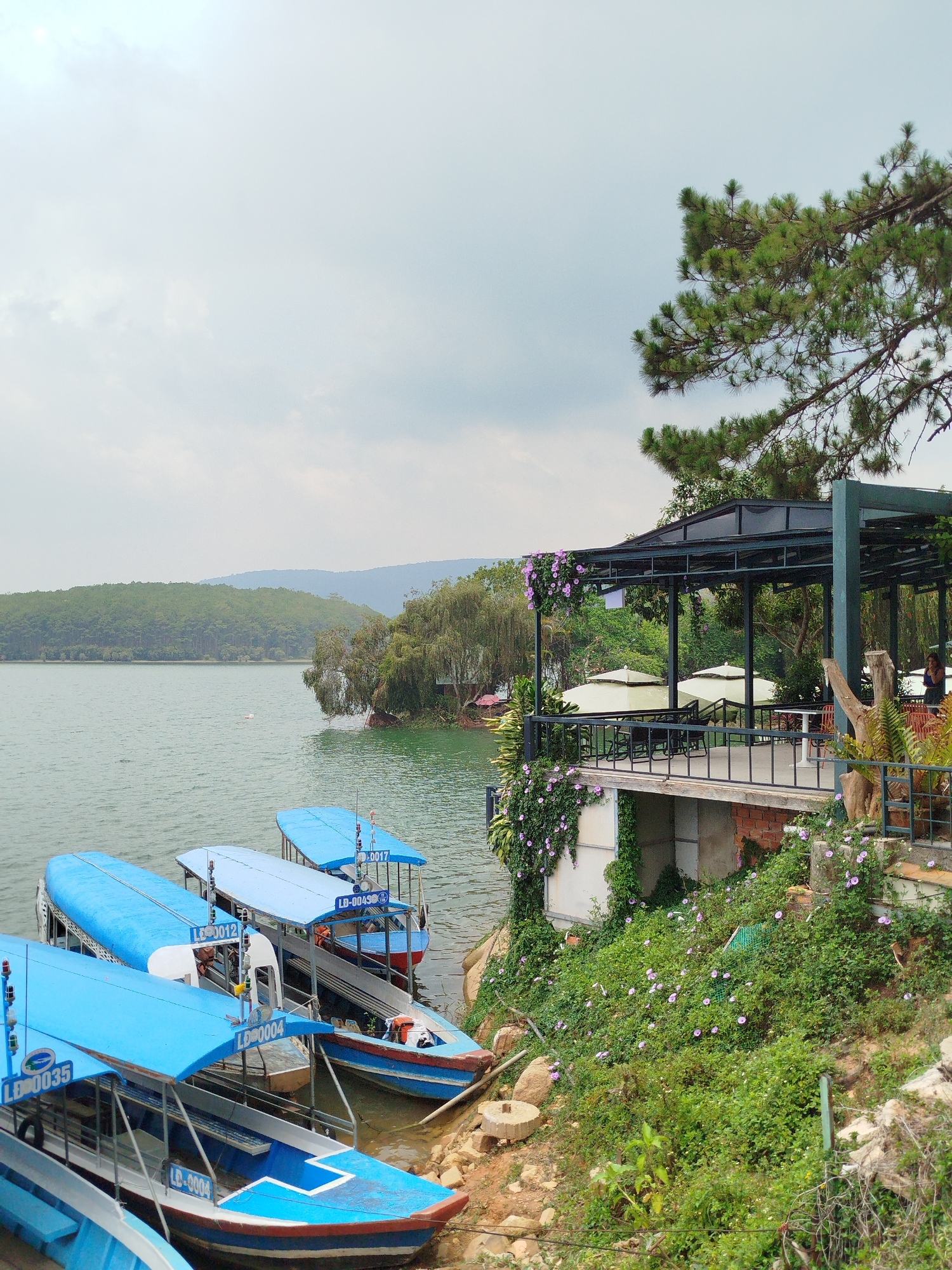 The image depicts a scenic view in Da Lat, Vietnam, showing a lakeside area with a restaurant or cafe on a raised platform overlooking the water. Several blue boats are docked along the shore in the foreground. The water is calm and greenish in color, reflecting the overcast sky.
The restaurant features a dark metal frame structure with a canopy. It's decorated with flowering plants, particularly purple blossoms cascading down the side of the structure and on the hillside. People can be seen within the restaurant area.
The hillside is covered in dense green vegetation and flowers. In the background, there are tree-covered hills and mountains visible in the distance. The sky is mostly cloudy and grey.