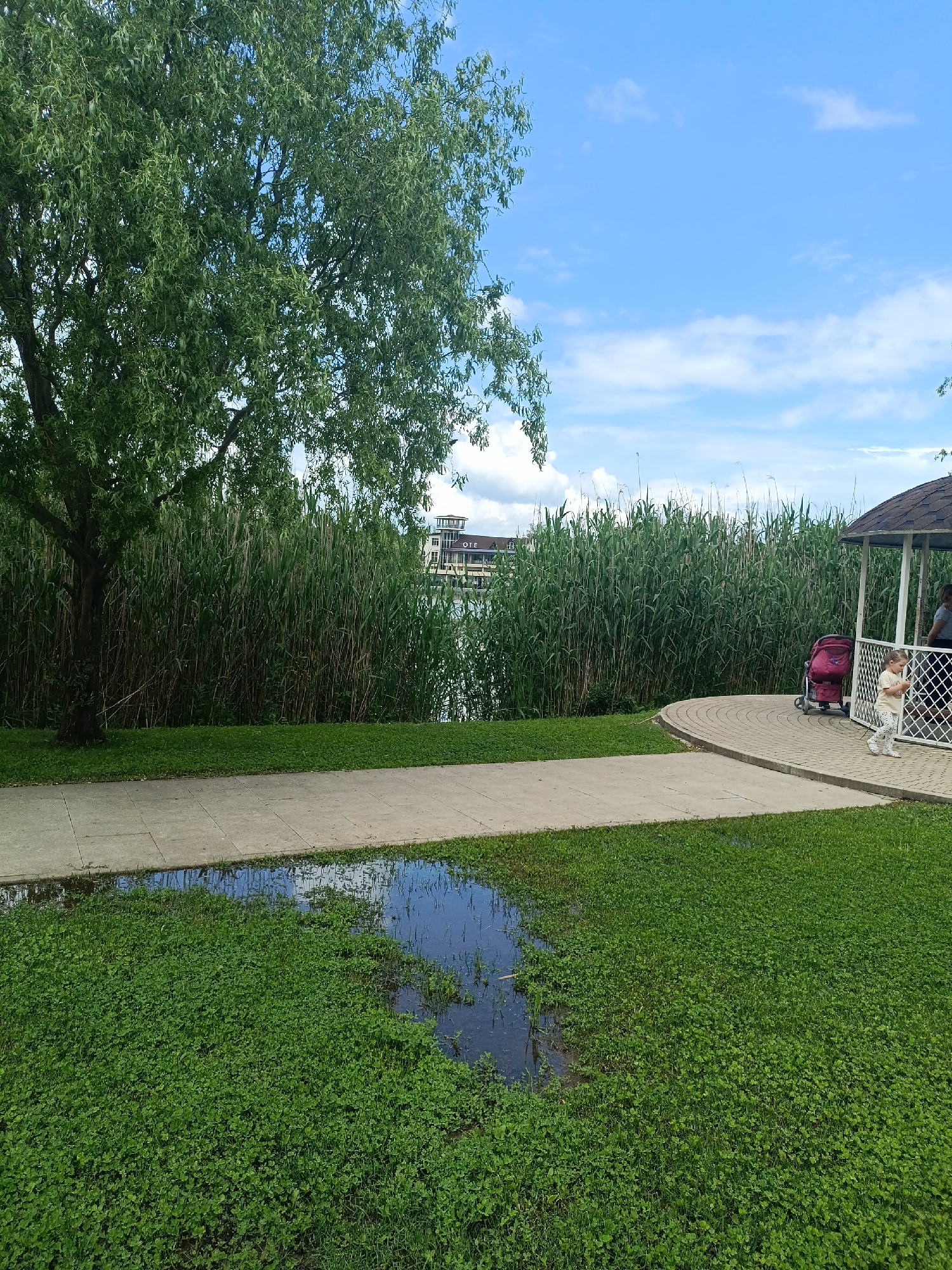 The scene shows a park area in Goryachiy Klyuch, Russia. In the foreground, a patch of lush green clover grows in the grass, interrupted by a puddle reflecting the sky. A paved walkway separates the clover from taller grasses and reeds that grow closer to the water's edge. A large tree stands to the left, partially obscuring the view of a building with the word "HOTEL" visible in the distance. A gazebo sits to the right of the frame, where a woman and child are visible. A stroller is parked nearby. The sky is blue with scattered white clouds.