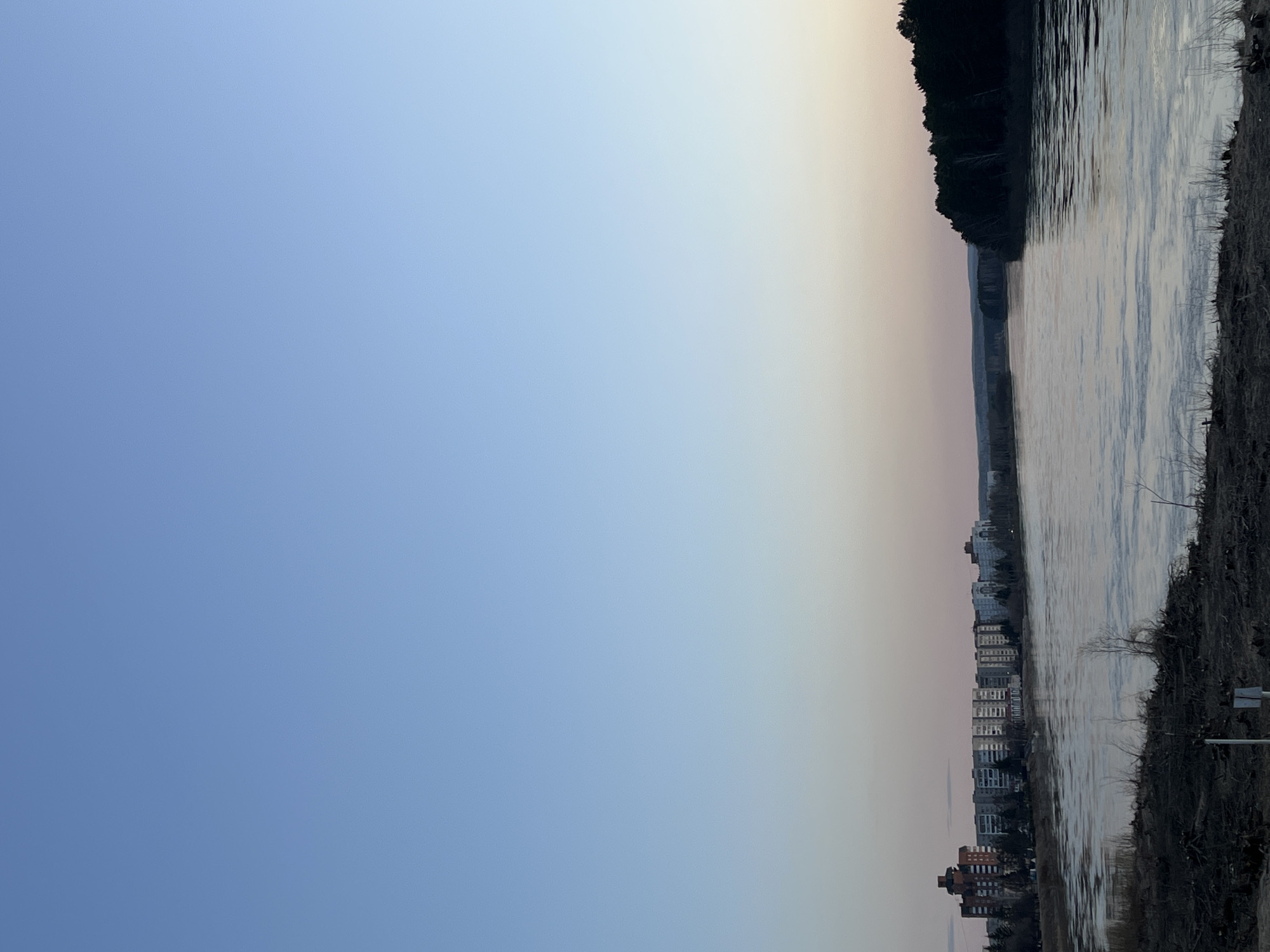 The image presents a wide, horizontal landscape view of a body of water under a gradient sky, likely captured during sunrise or sunset. The sky, which dominates the upper two-thirds of the frame, transitions from a deep clear blue at the top to a pale, soft orange-pink hue closer to the horizon line.
A calm expanse of water occupies the middle ground, reflecting the subdued tones of the sky with subtle ripples on its surface. On the far side of the water, a dark, dense line of trees forms a silhouette against the sky, suggesting a forested bank or hill. Beyond this, a faint, low-lying landmass is visible in the distant haze.
Along the opposite bank, a series of urban buildings extends horizontally, featuring multi-story structures that appear to be residential or commercial, lining the waterfront. These buildings are predominantly light-colored, contrasting with the darker elements of the landscape. The immediate foreground features a rugged, dark bank with sparse, dry vegetation and what appears to be discarded debris. A few bare trees, devoid of leaves, are scattered along this bank and between some of the buildings.
There are no people or specific activities visible. The scene is tranquil and static, characteristic of a serene morning or evening over a waterside town. No visible text is present in the image. The location is Zelenogorsk, Russia.