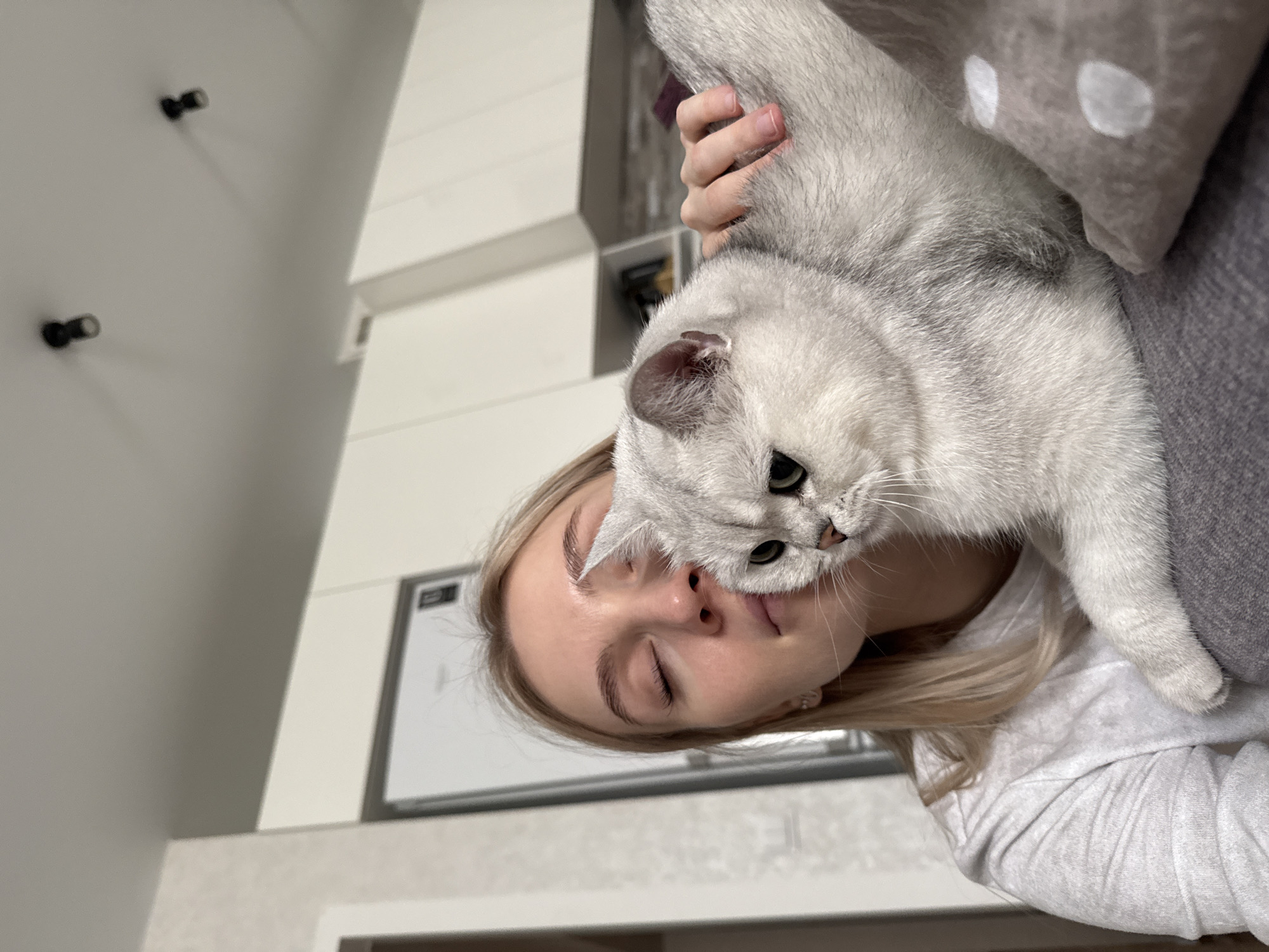 A pale-skinned woman with blonde hair is holding a silver British Shorthair cat. The woman's eyes are closed and her head is tilted slightly. The cat is looking down. The background includes a white wall with two black doorknobs and part of a whiteboard. The photo appears to be taken indoors, possibly in a home. There is no definitive evidence to confirm the location as Izhevsk, Russia.