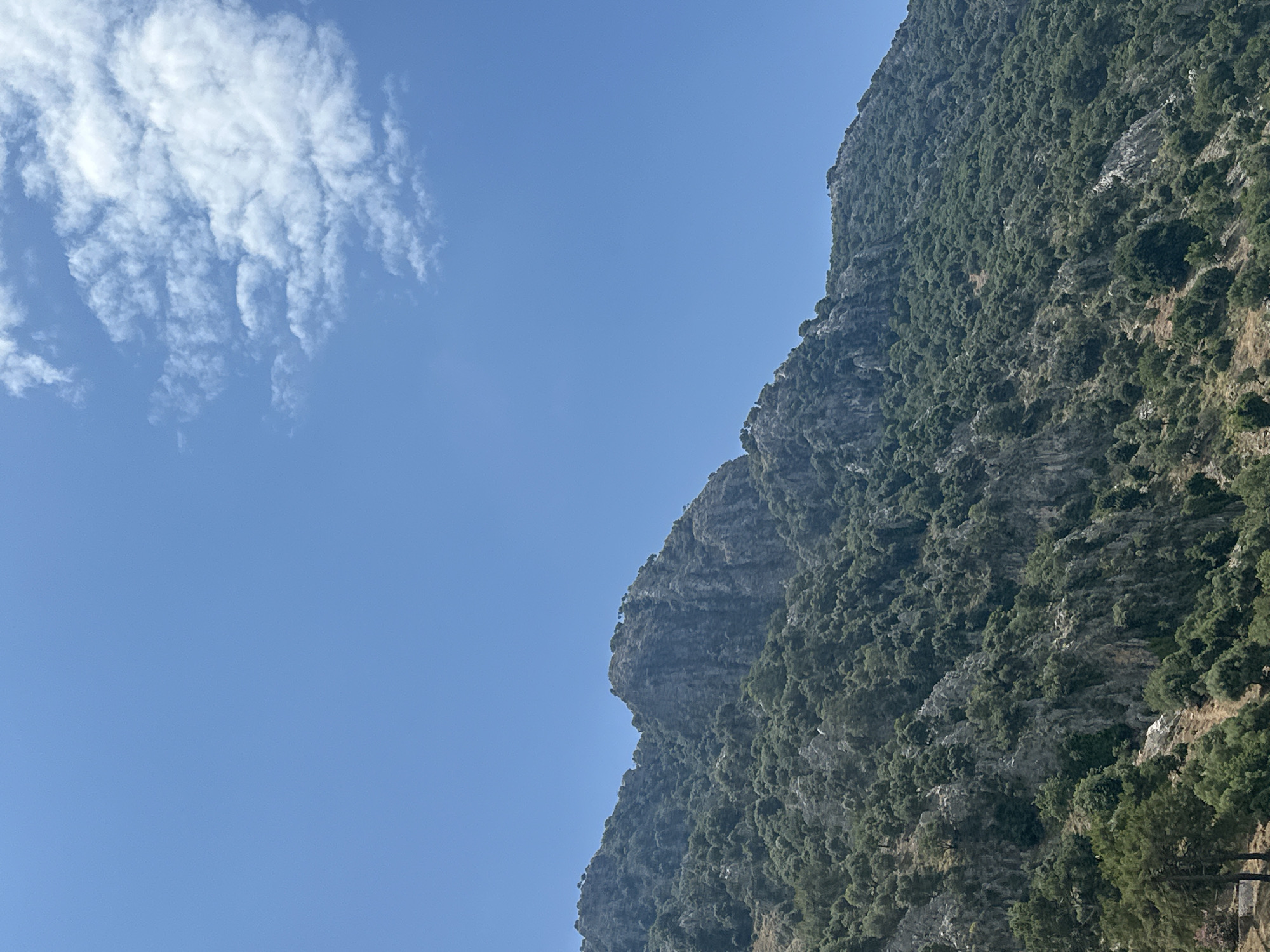 An outdoor shot shows a mountain densely populated with green trees, adjacent to a clear blue sky with a patch of wispy white clouds. The scene is rotated counterclockwise. The mountain appears rocky in some areas, with exposed rock formations, and is located in Ortaca, Turkey.