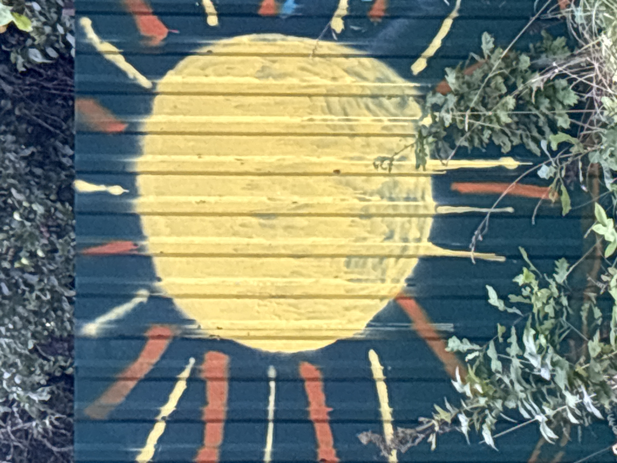 The image shows a spray-painted mural of a sun on a dark green corrugated metal fence. The sun is yellow and appears to be dripping. Rays emanate from the sun in shades of yellow and orange. Green foliage is visible in the foreground and background, partially obscuring the fence and mural. The location is identified as Rakovno, Russia. There are no people or animals in the image, and no specific actions are depicted. The environment appears to be outdoors, likely in a somewhat overgrown or neglected area given the presence of the foliage.