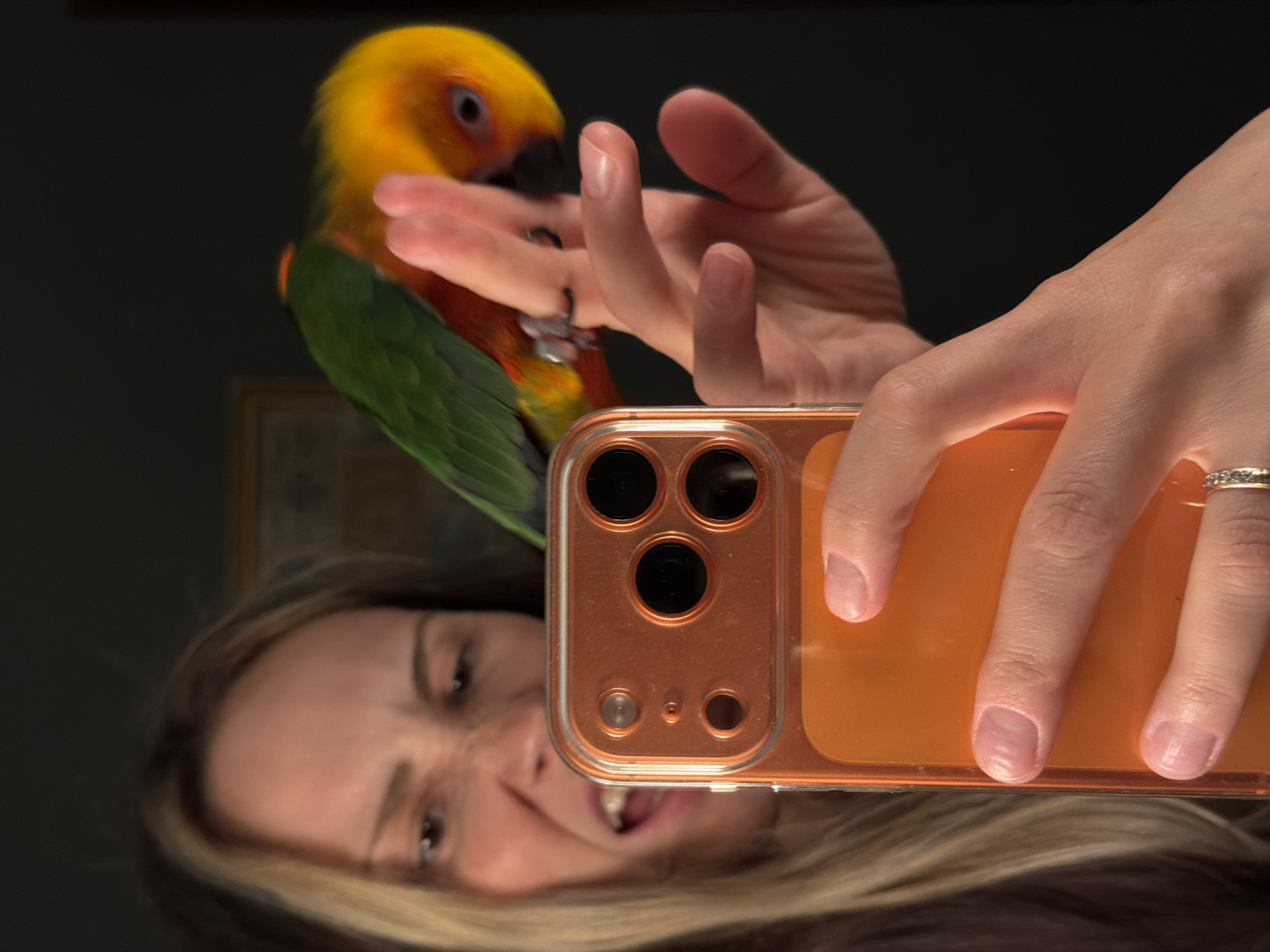 A woman, appearing to be in her 30s, is taking a selfie with a parrot perched on her finger. She is holding an orange-cased smartphone in her left hand, angled towards herself. Her facial expression is one of exaggerated surprise or playful annoyance, with her mouth open and eyebrows raised. The parrot, a Sun Conure, has vibrant green, yellow, and orange plumage and is looking down at the woman's finger. The background is dark and indistinct, with a hint of a framed picture on the wall. The image's focus is sharpest on the smartphone and the parrot's head, with the woman's face and the rest of the background slightly blurred. There is no indication of the city of Khimki, Russia in the image.