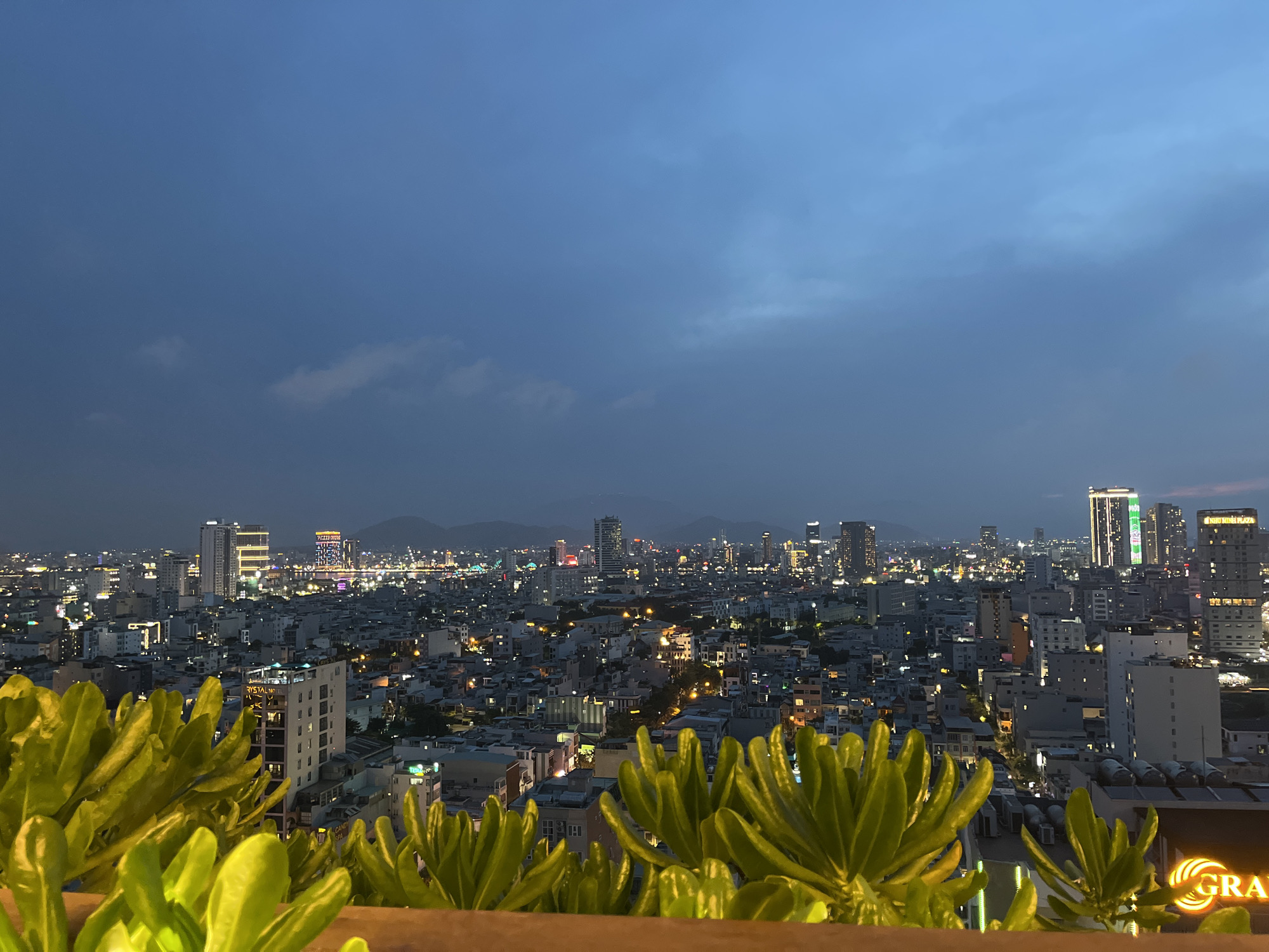 The image shows a nighttime cityscape in Đà Nẵng, Vietnam, as viewed from an elevated position, possibly a rooftop bar or terrace. The foreground features a dense cluster of succulent plants behind a low ledge. In the middle ground, a sprawling city stretches out, punctuated by illuminated buildings of varying heights and designs. Small pinpoints of light indicate streets, individual buildings, or vehicles. In the distance, a range of mountains is visible. The sky is a gradient of dark blue, suggesting twilight. There is no visible human presence.