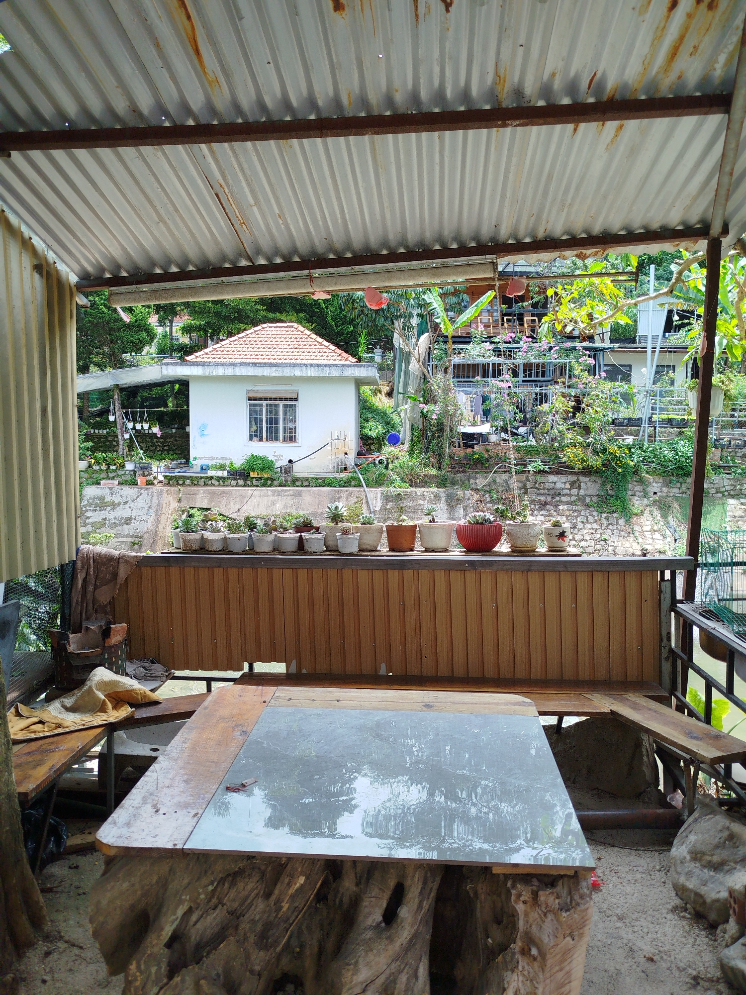 The image depicts an outdoor seating area with a rustic wooden table supported by large tree trunks. The table has a glass top reflecting the surrounding greenery. In the background, a small white house with a terracotta roof is visible, situated on a slope amidst lush vegetation. Rows of potted plants are arranged on a ledge in front of the house. The scene appears to be a tranquil spot, possibly a cafe or a private residence, in Da Lat, Vietnam, known for its cool climate and abundant plant life. The overall atmosphere is relaxed and natural, with a focus on outdoor living and gardening.