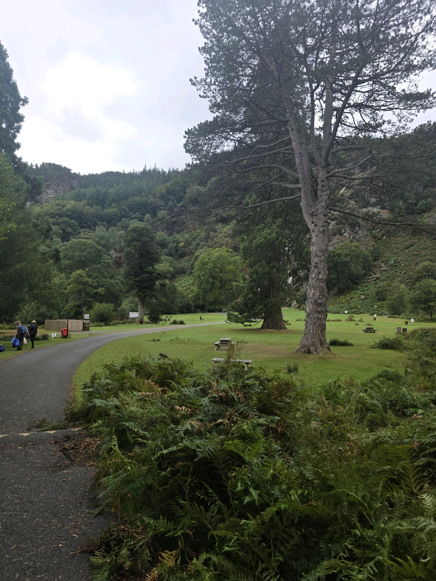 A paved walking path curves through a grassy park area at the base of a steep, wooded hill. In the foreground, a dense patch of ferns lines the path. Several picnic tables with benches are scattered across the lawn. Two individuals are standing on the path, facing away from the camera, with backpacks at their feet. In the background, the hill rises, covered in dense green foliage and rocky outcrops. The sky is overcast. The location is Old Long Hill, Ireland.