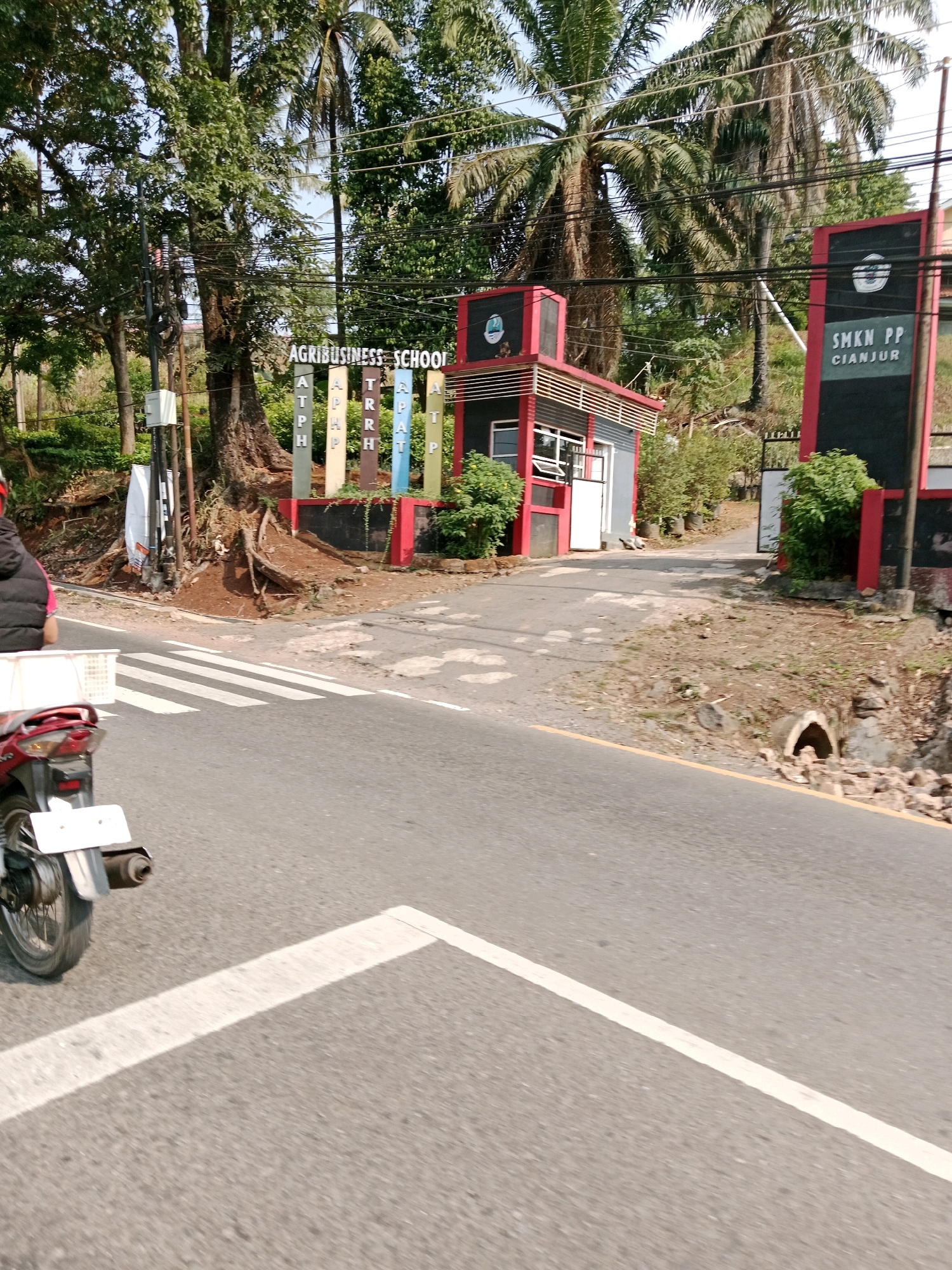 This image depicts the entrance to an "Agribusiness School" and "SMKN PP Cianjur" in Sirnagalih, Indonesia. The scene is dominated by lush greenery, including tall trees and palm trees, suggesting a tropical environment. A paved road with a pedestrian crossing is visible in the foreground, with a red motorcycle in the lower left corner, partially obscuring the view.
The school's entrance features a modern, multi-story building with red and black accents, and a smaller reception or guardhouse. Several tall, colorful pillars with letters spelling out "ATPH," "TPHH," "RRHP," and "RATP" stand in front of the school, likely representing different departments or programs. A sign for "SMKN PP CIANJUR" is prominently displayed on a black rectangular board with red trim.
The environment appears somewhat rugged, with exposed tree roots and patches of dirt and gravel around the entrance. A culvert or drain opening is visible on the right side of the road, surrounded by scattered stones. The overall impression is of an educational institution situated within a natural, possibly semi-rural setting on the outskirts of a town or city.